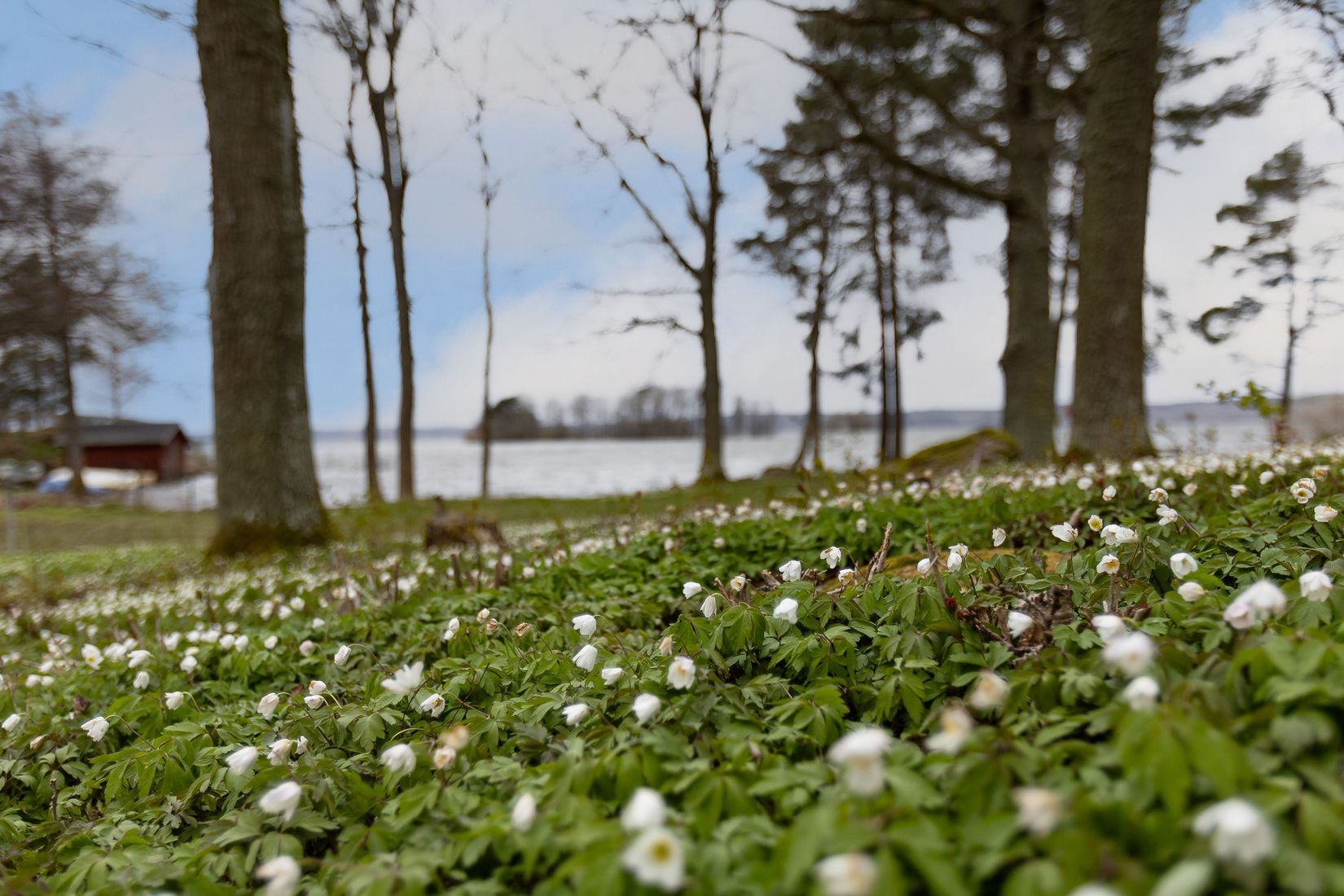 Fritidshus, Östra Harg Holmen norra 16, Östra Harg, Linköping
