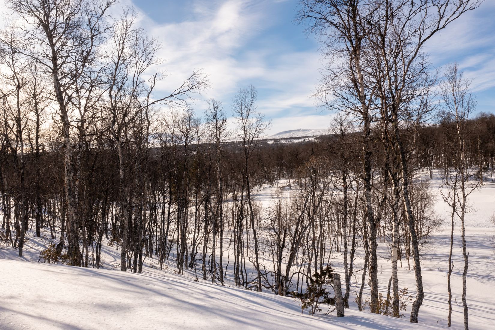 Fritidshus, Gamla Wallesvägen 17, Härjedalen
