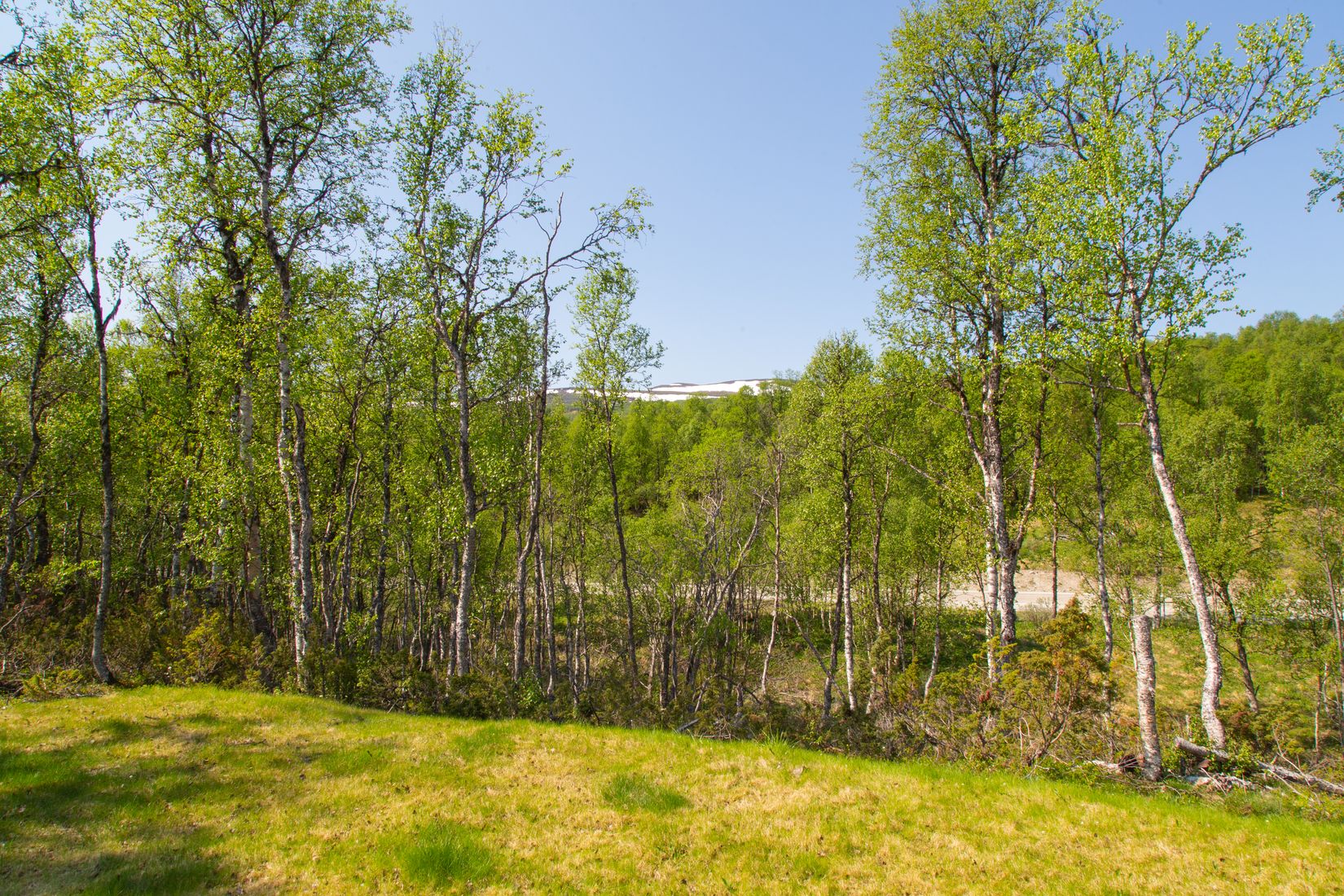 Fritidshus, Gamla Wallesvägen 17, Härjedalen