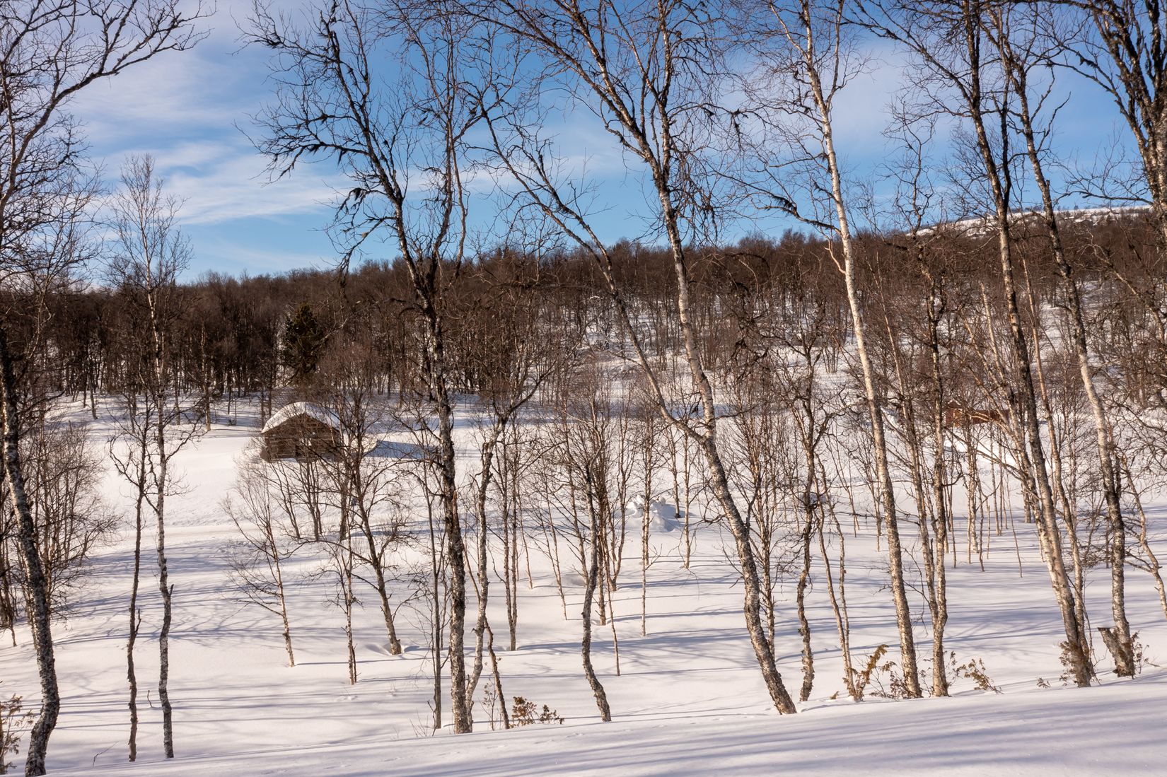 Fritidshus, Gamla Wallesvägen 17, Härjedalen