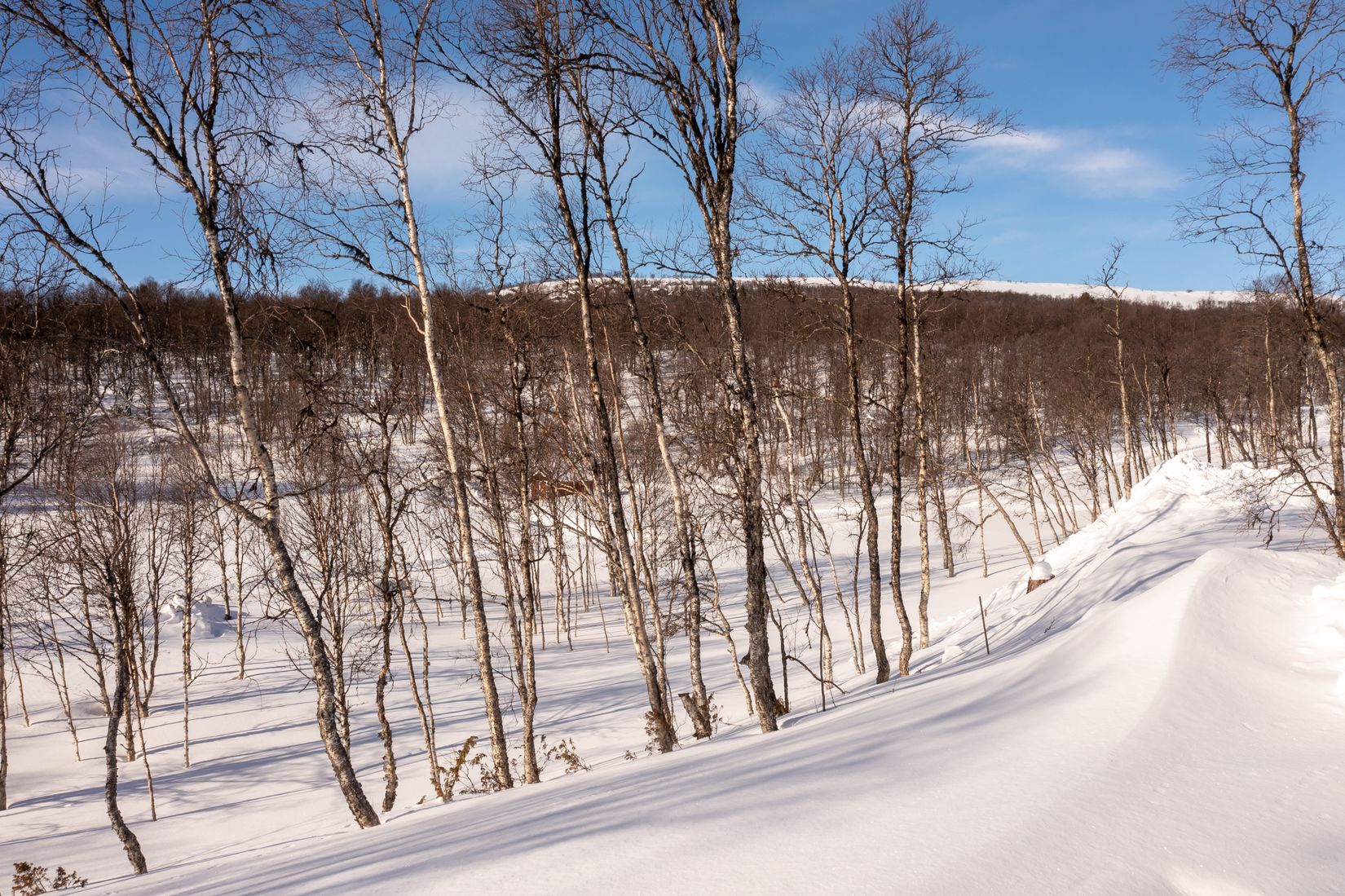 Fritidshus, Gamla Wallesvägen 17, Härjedalen
