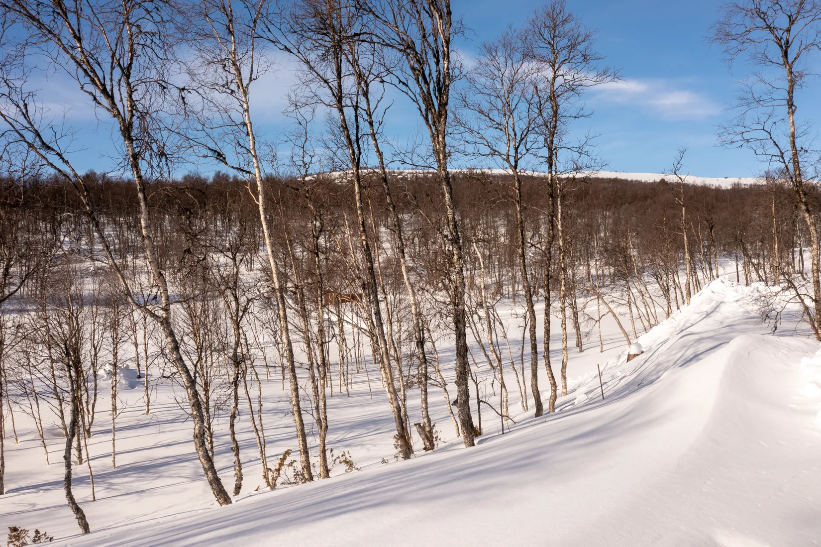 Fritidshus, Gamla Wallesvägen 17, Härjedalen