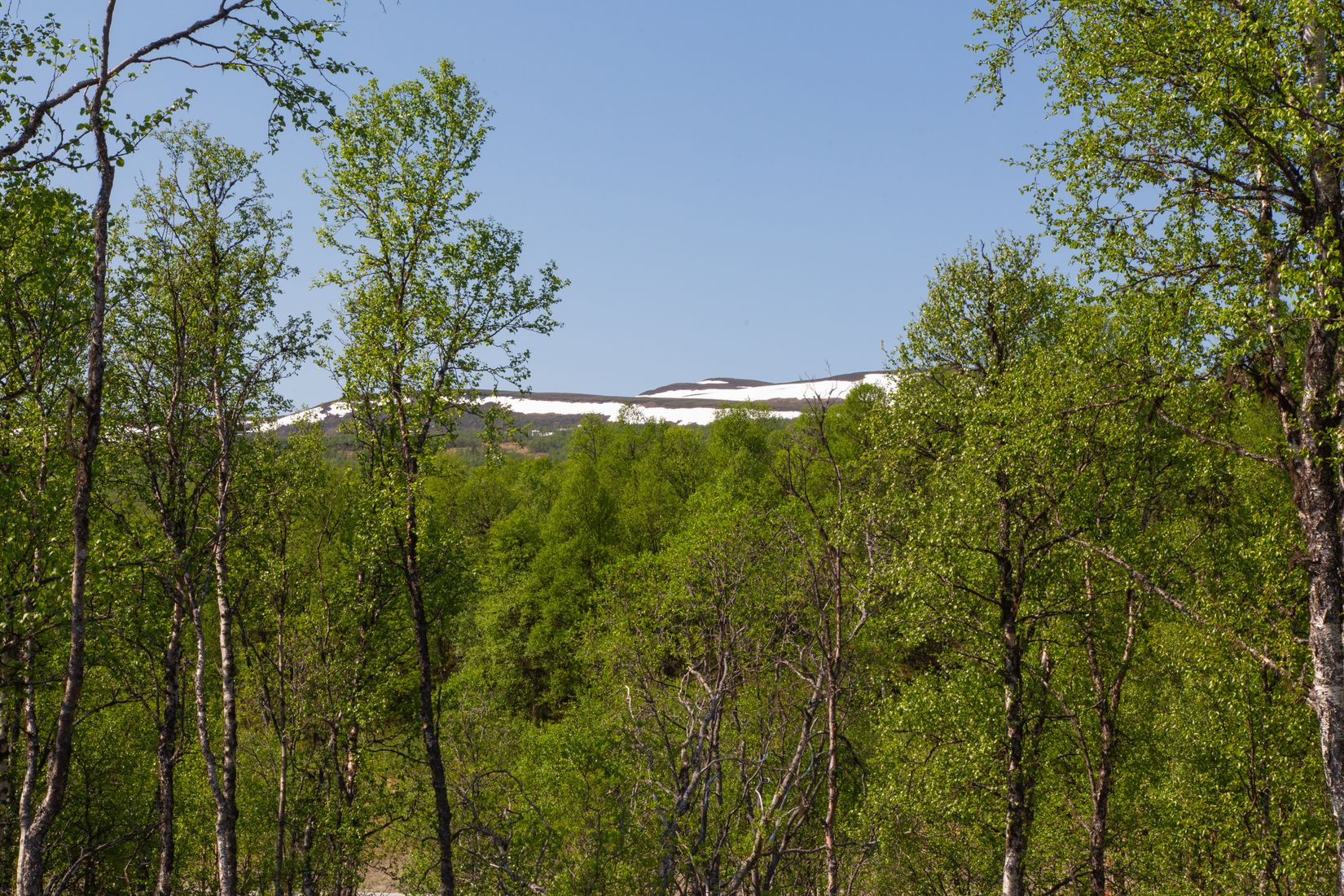 Fritidshus, Gamla Wallesvägen 17, Härjedalen