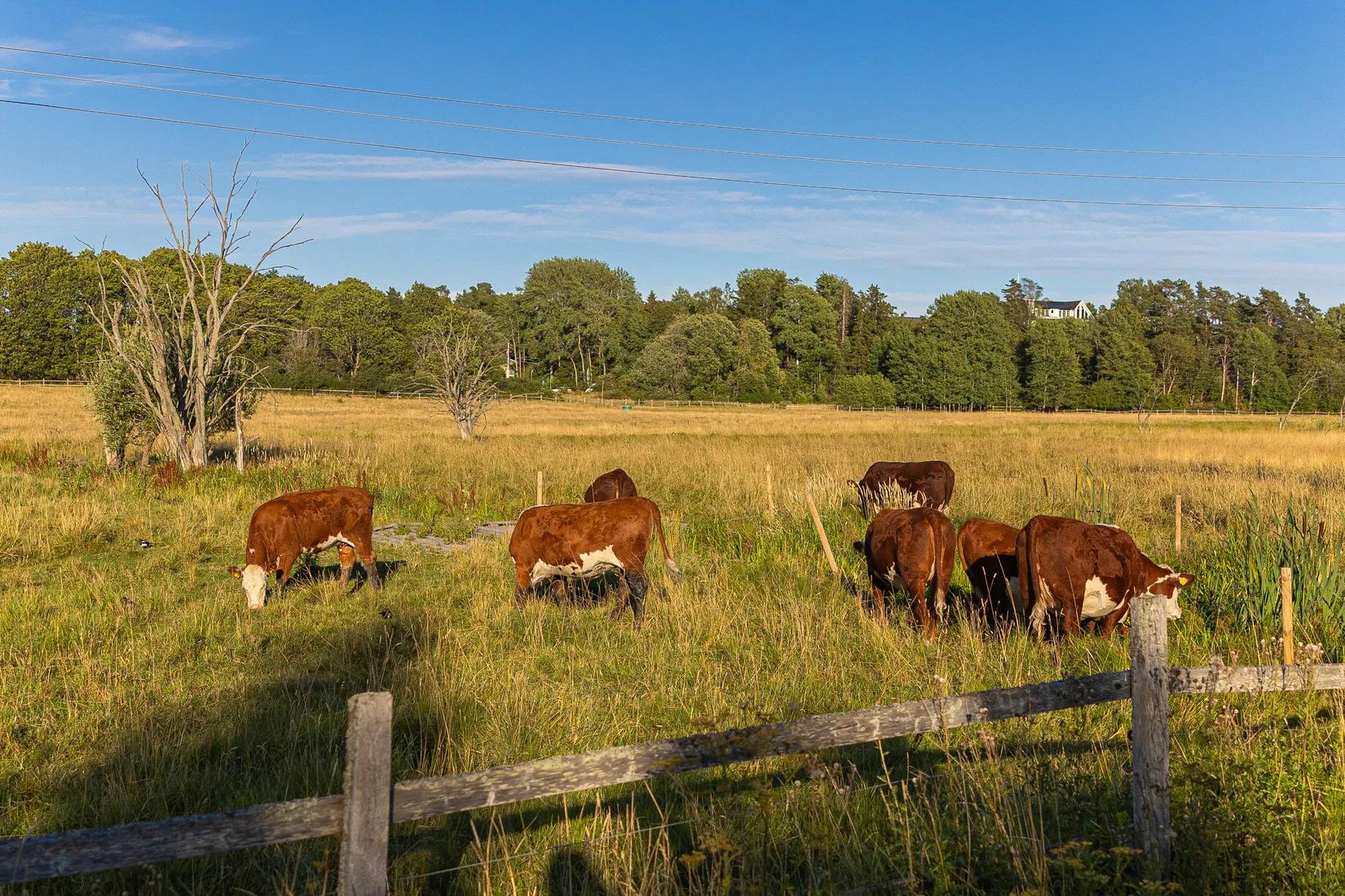 Villa, Dagsländevägen 10, Fresta, Upplands Väsby