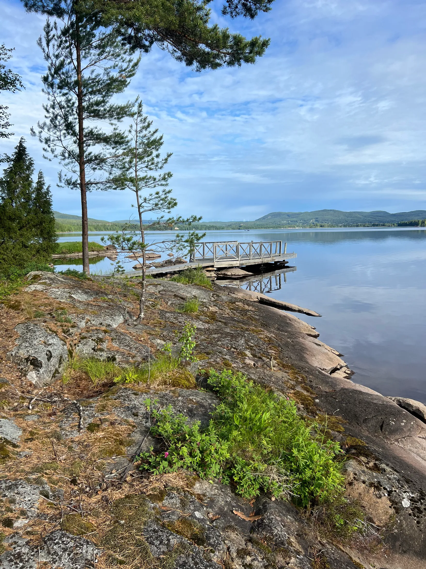 Villa, Tevsjövägen 25, Järvsö, Teve, Ljusdal