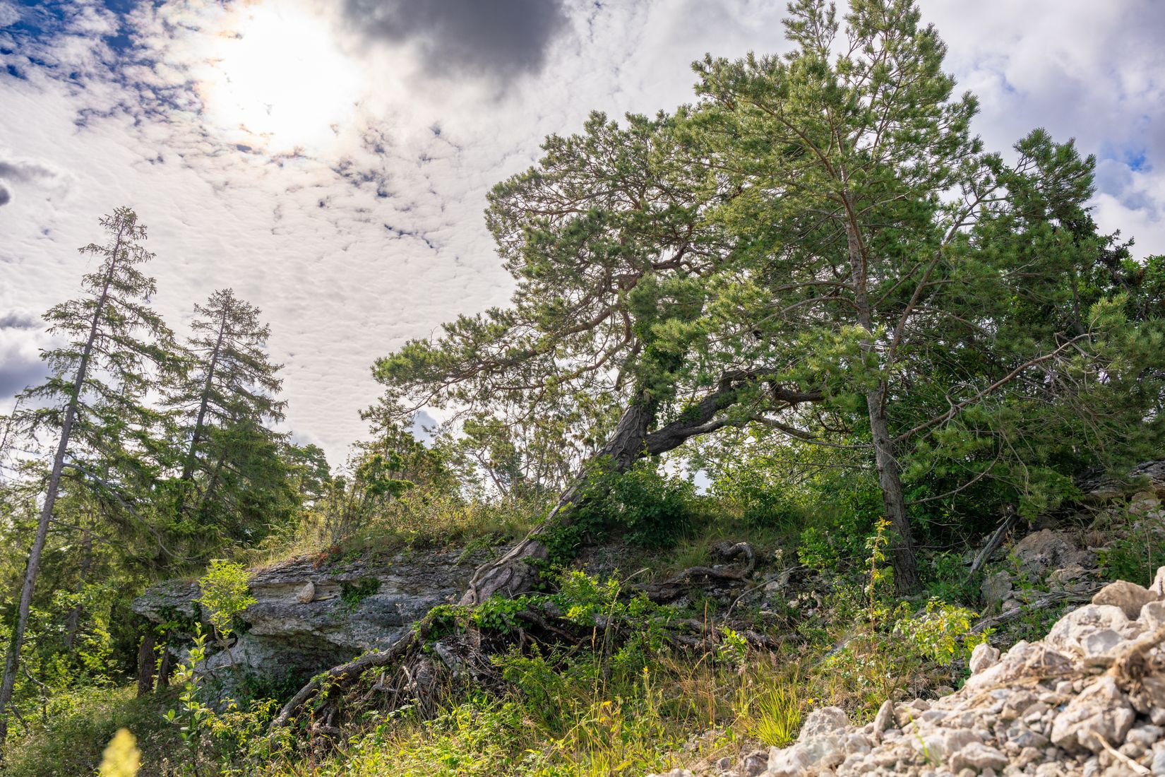 Villa, Ygne Kungsljusvägen 9, Ygne - Visby Närområde, Gotland