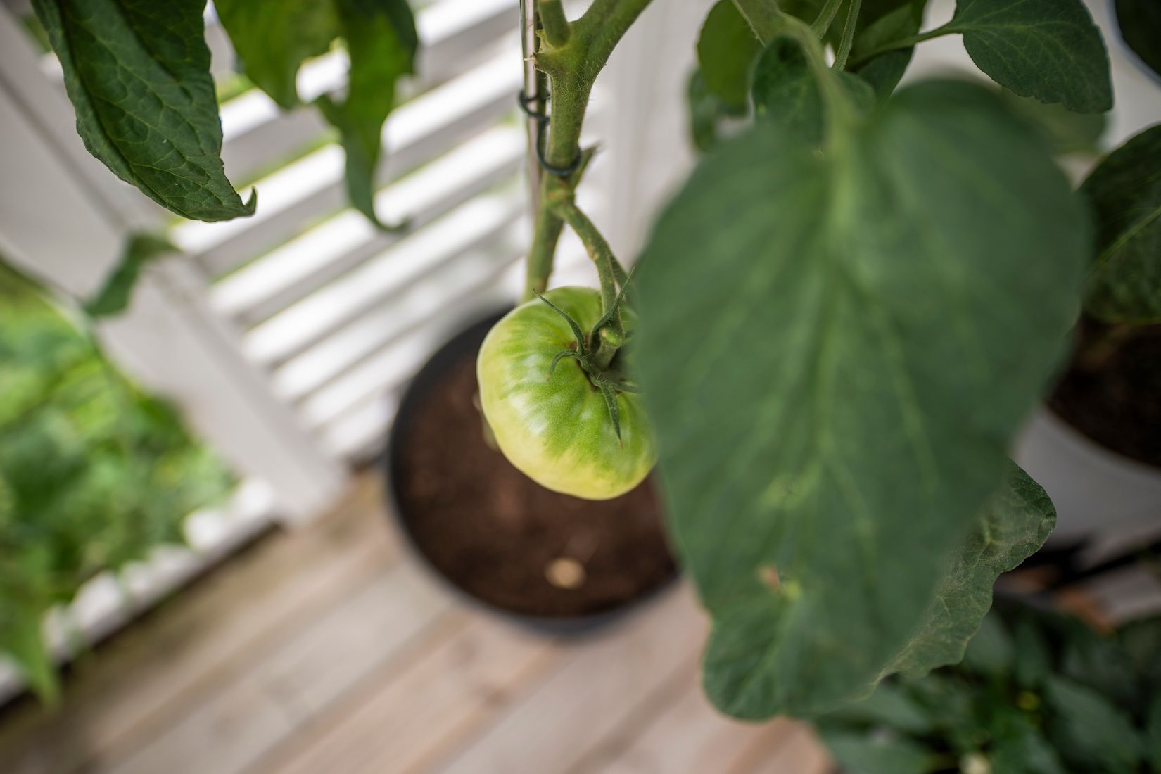 Radhus, Nöthårsvägen 49, Nåntuna, Uppsala