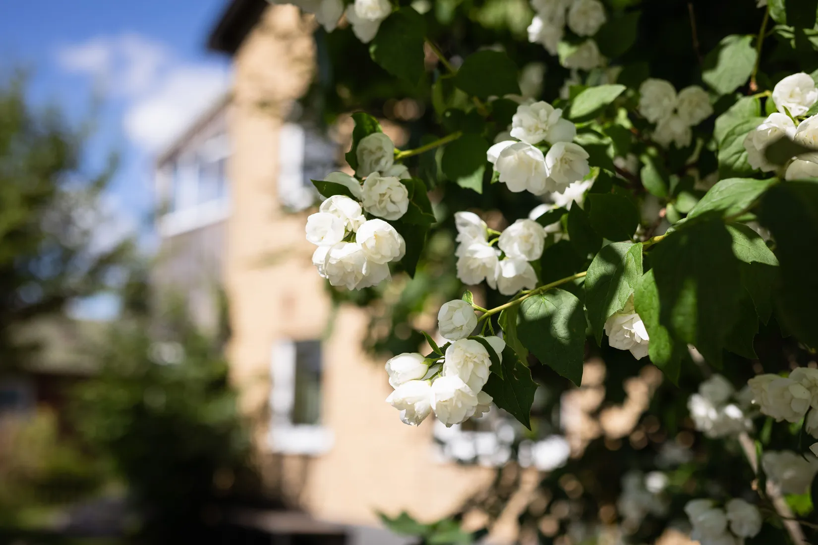 Villa, Storgatan 26, Vaggeryd