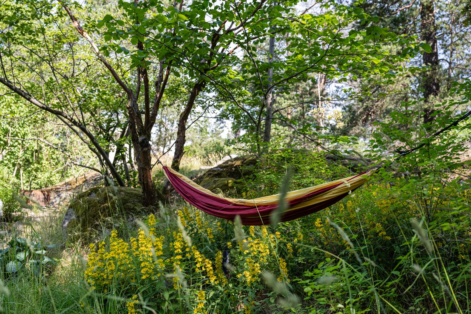 Fritidshus, Skuruparken Stuga nr 20 , Skuru, Nacka