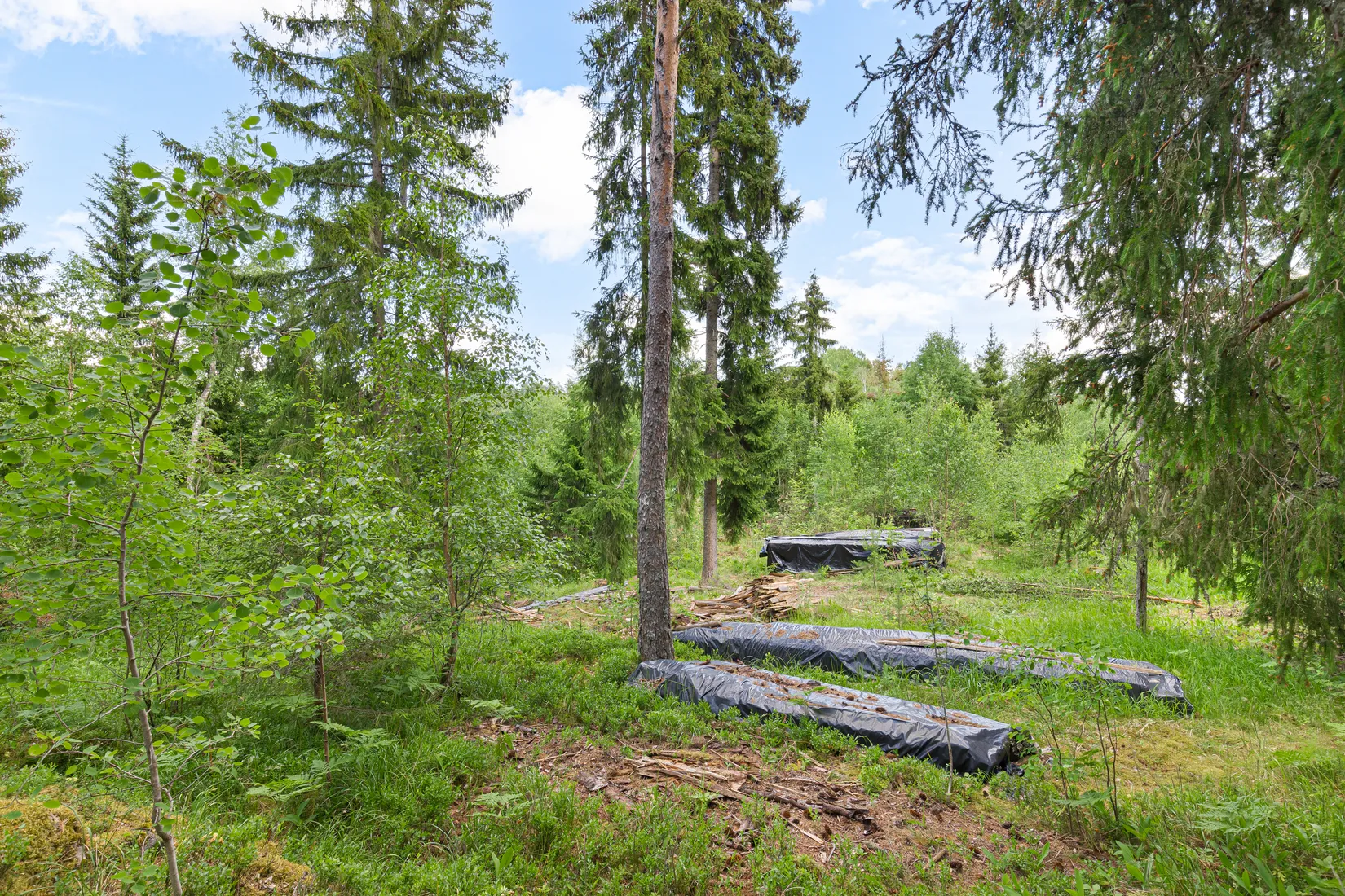 Tomt, Axtorpsvägen 17, Järlåsa, Enköping