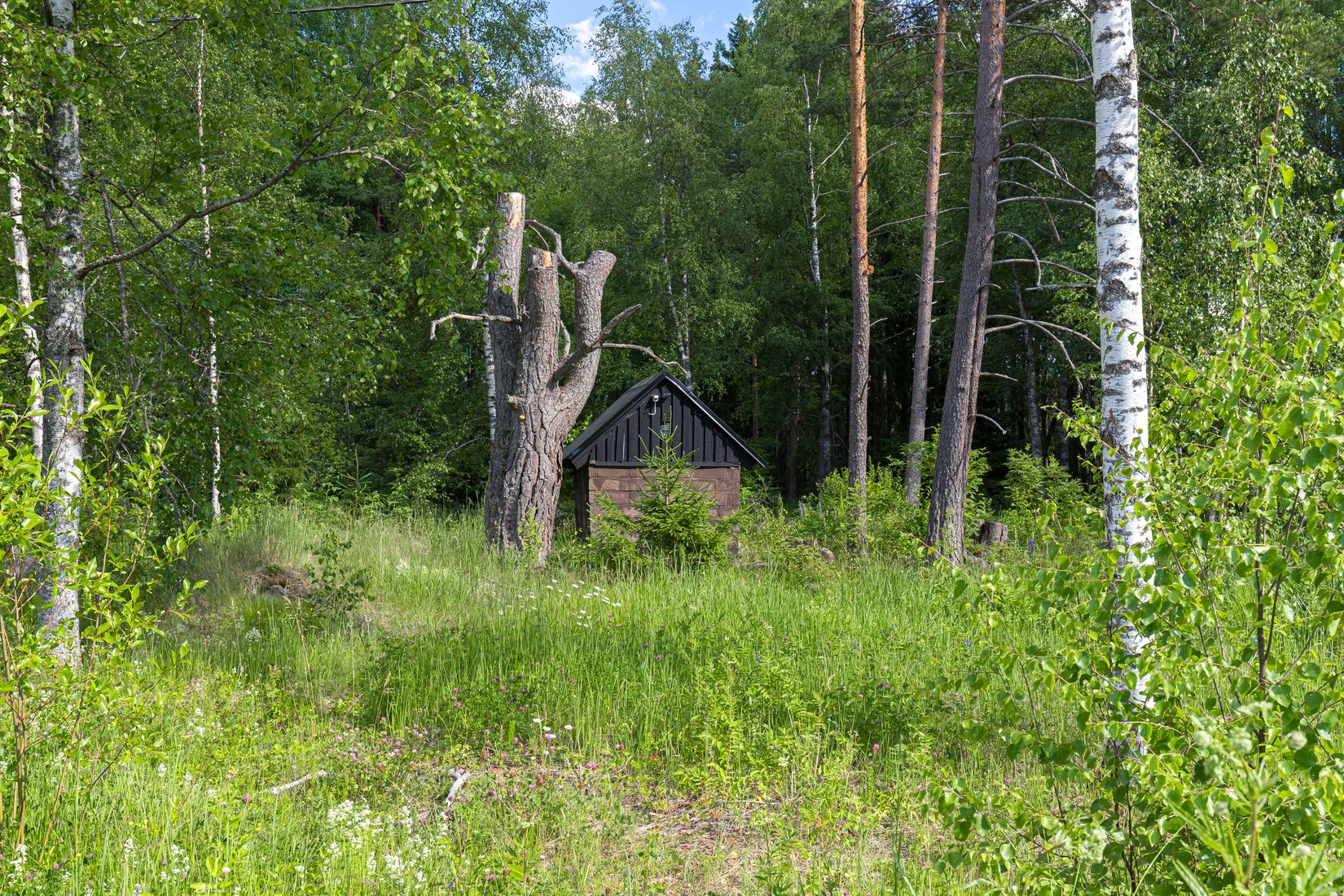 Tomt, Axtorpsvägen 17, Enköping