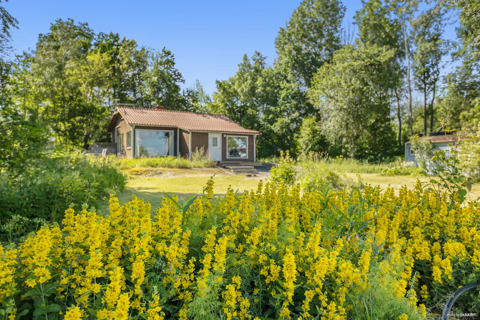 Övrigt, Uddgarn 365, Uddgarn/Hjälmaren, Örebro