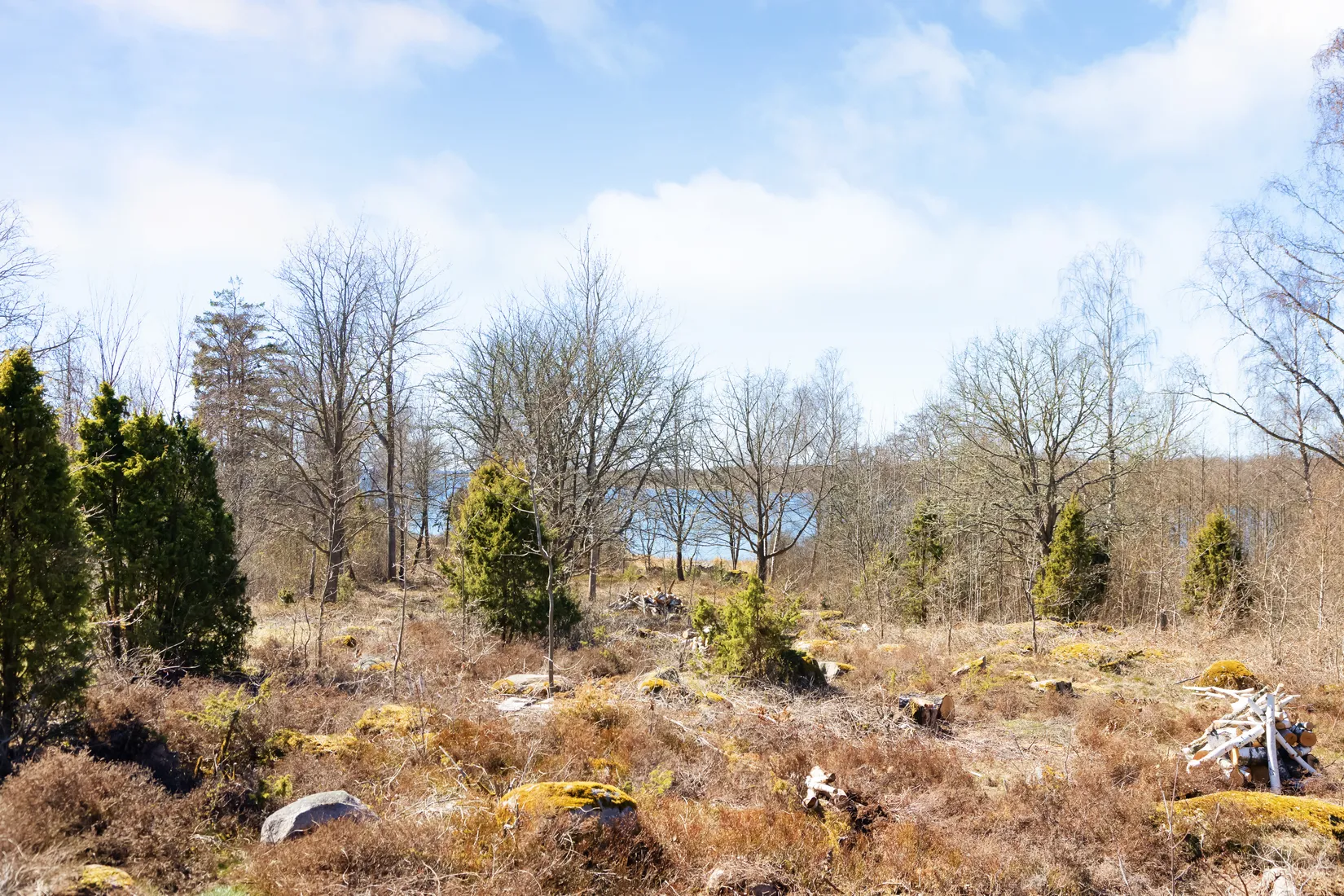 Tomt, Ekenabbsvägen, Karlskrona