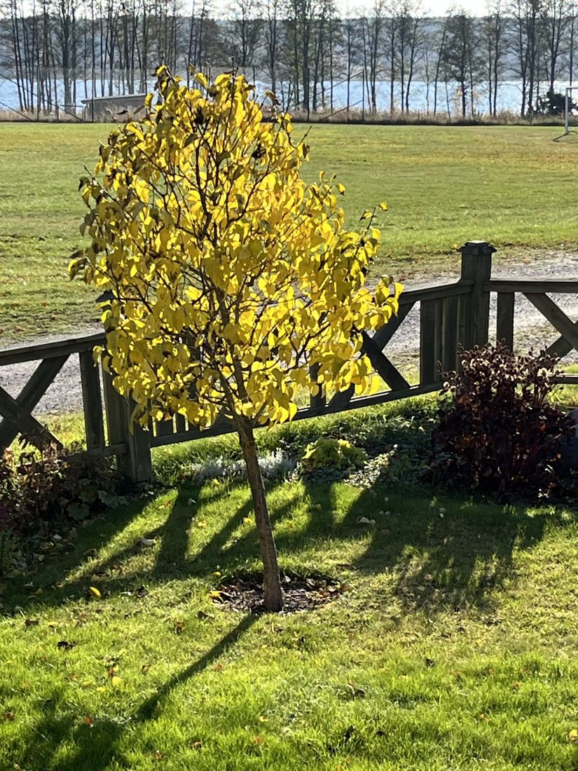 Villa, Näshulta skolväg 5, Näshulta, Eskilstuna