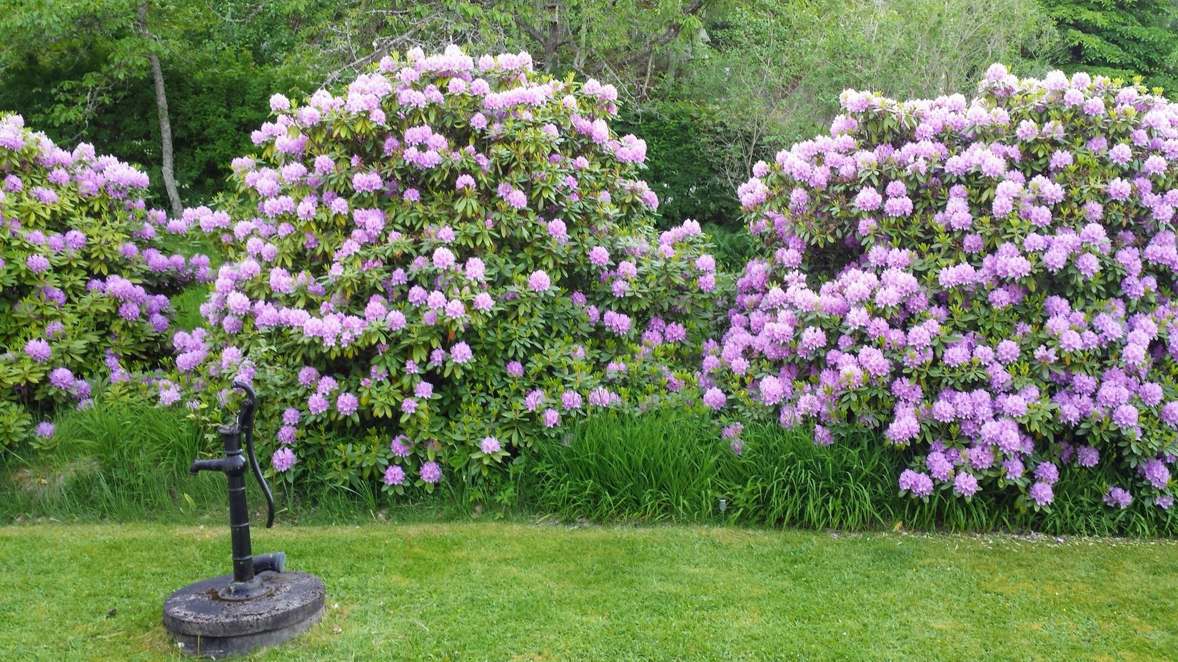 Villa, Sjöbovägen 14, Berghalla, Jönköping