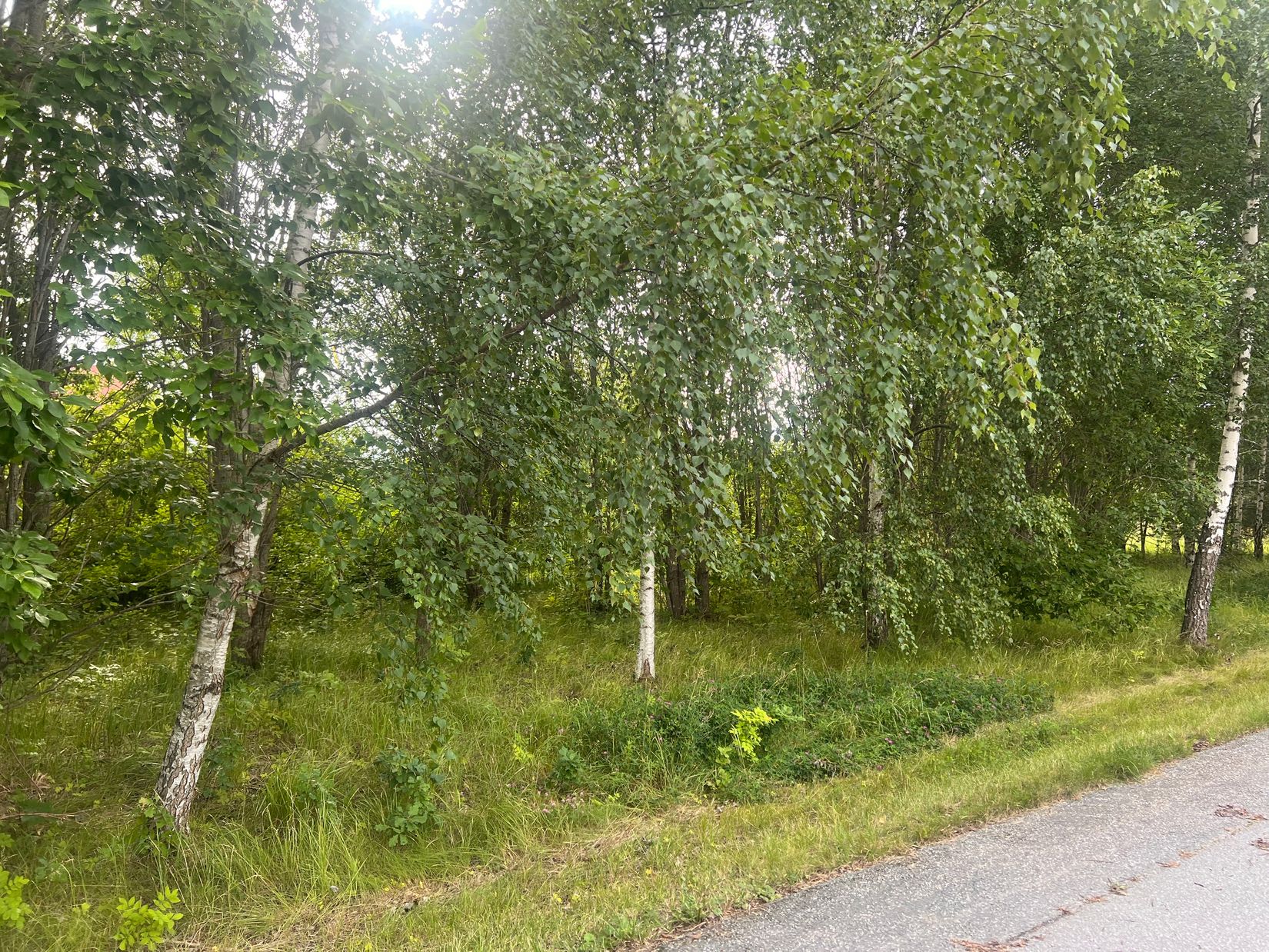 Tomt, NORRTÄLJE GOTTSTA 4:27, Gottsta, Norrtälje