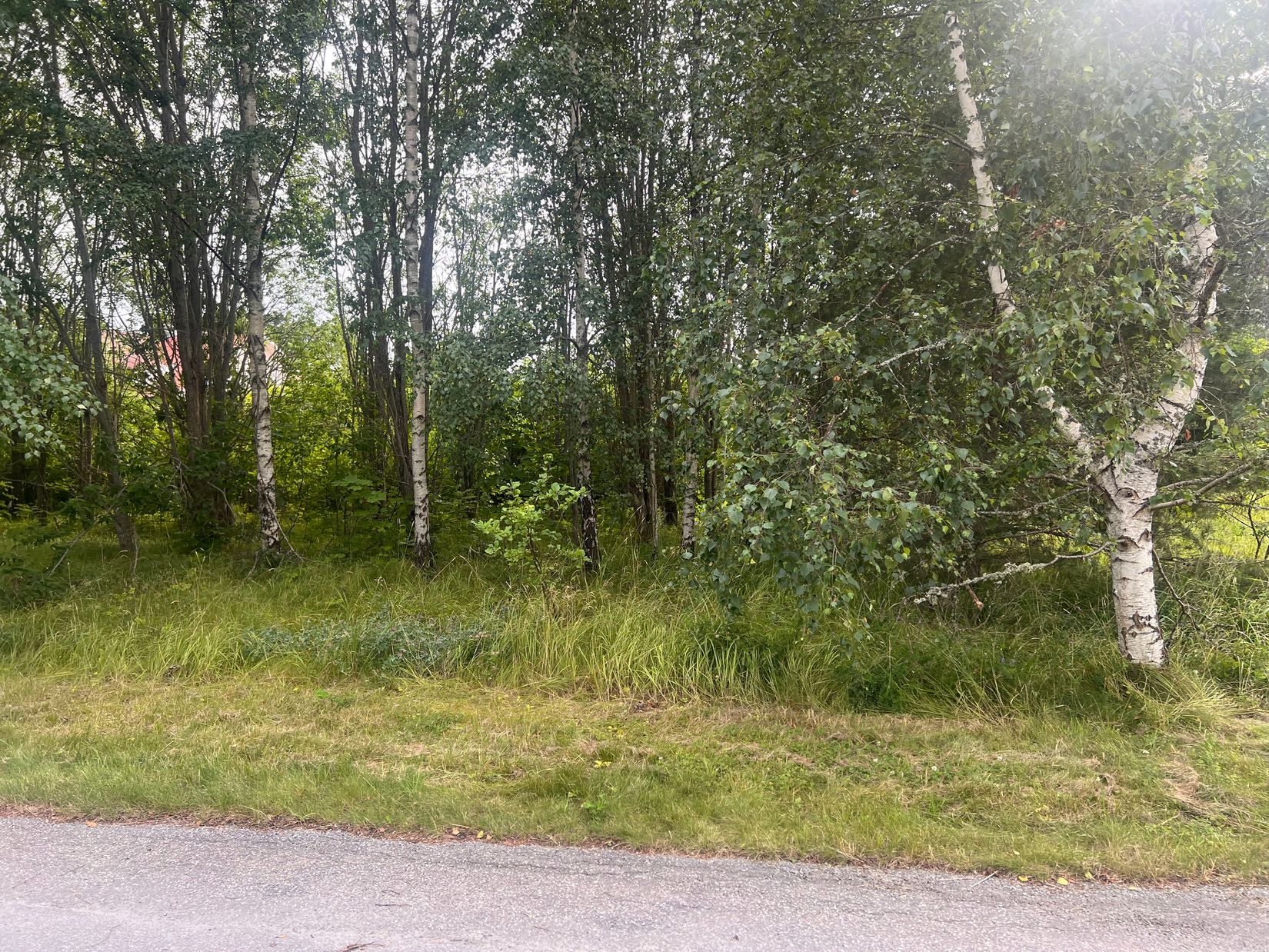 Tomt, NORRTÄLJE GOTTSTA 4:27, Gottsta, Norrtälje