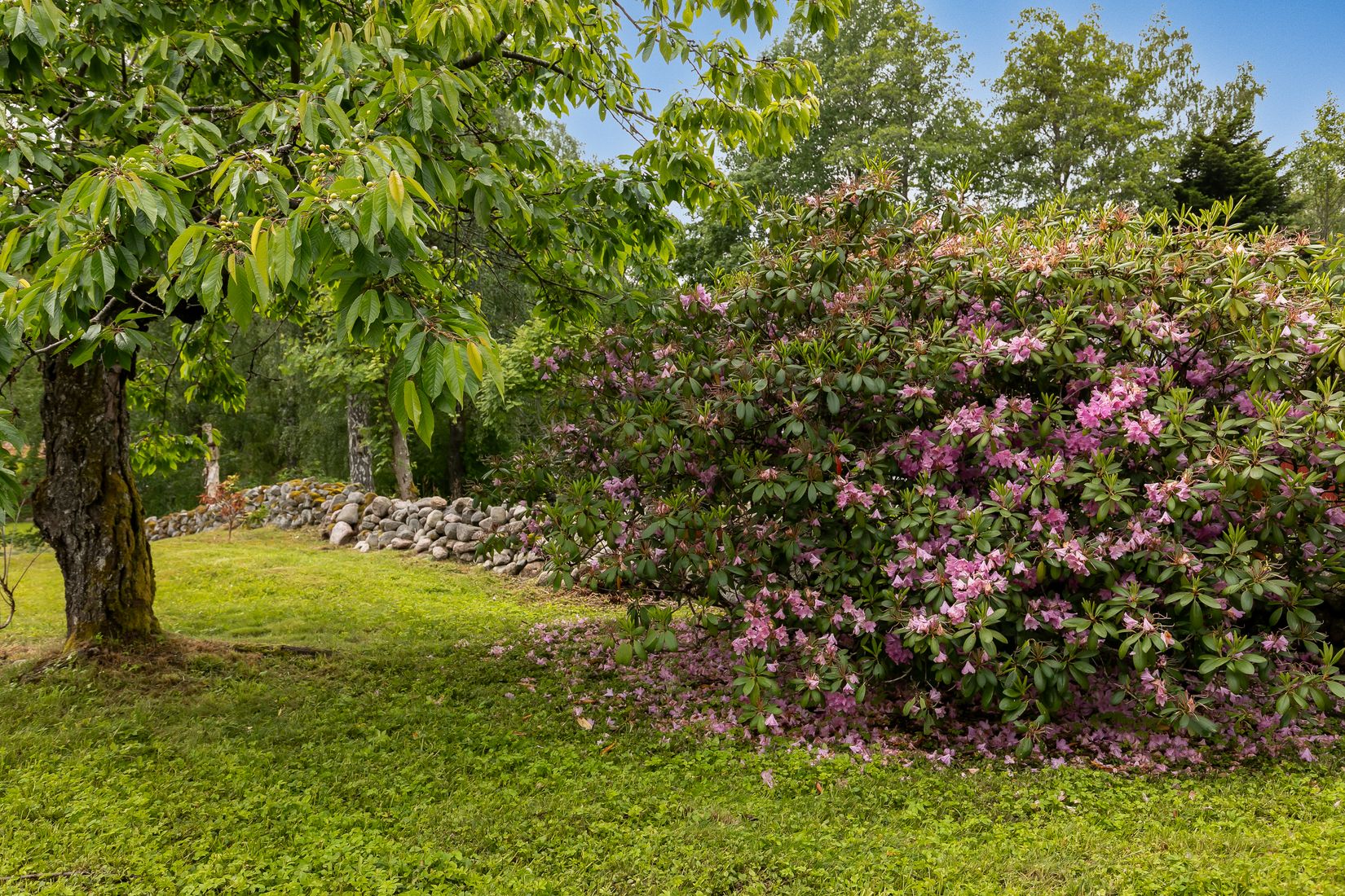 Villa, Jägmästarevägen 1, Karlsborg