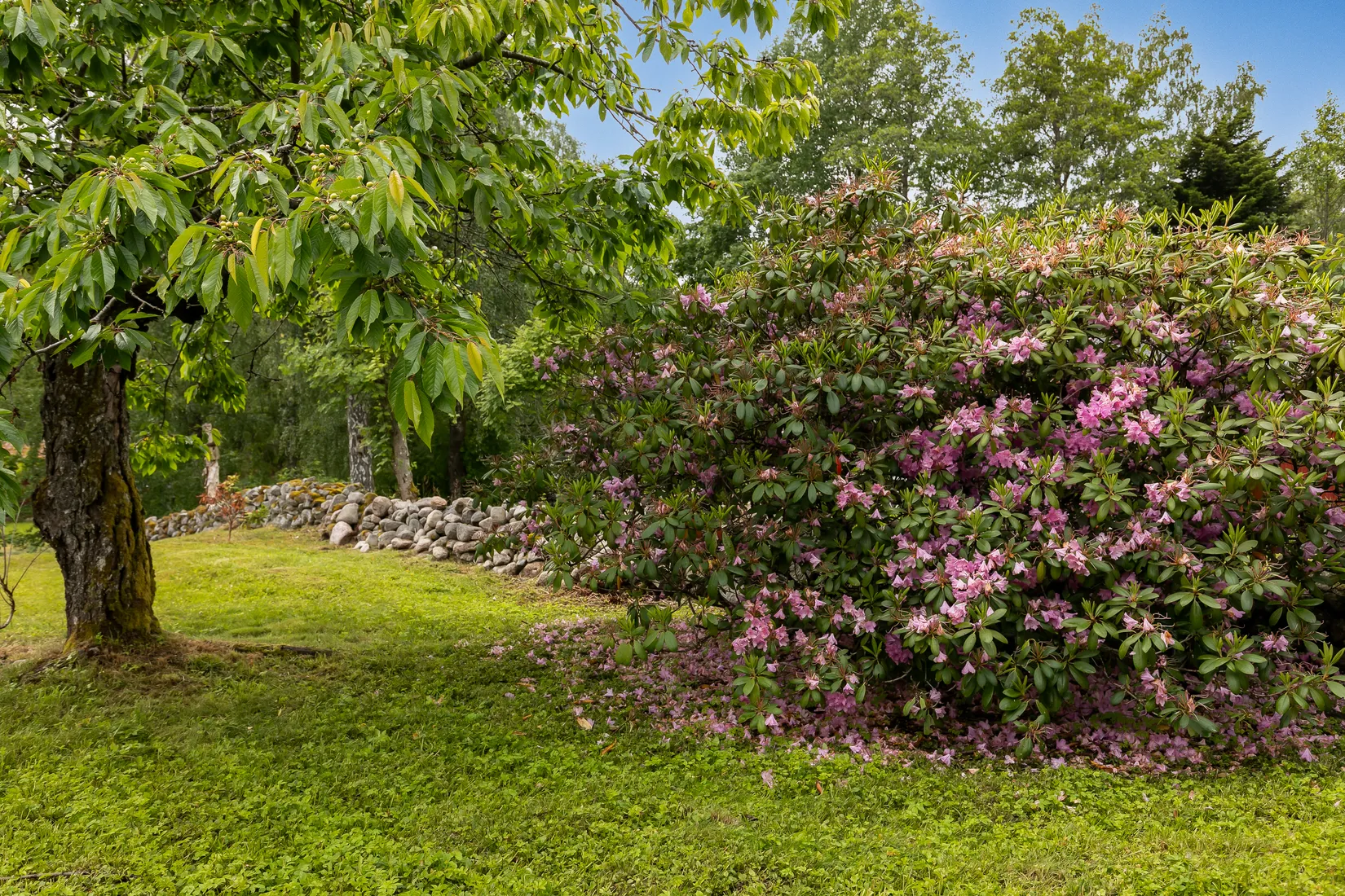 Villa, Jägmästarevägen 1, Karlsborg