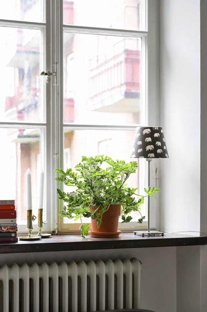 Bostadsrätt, Kapellgatan 12, Kristianstad - Östermalm, Kristianstad