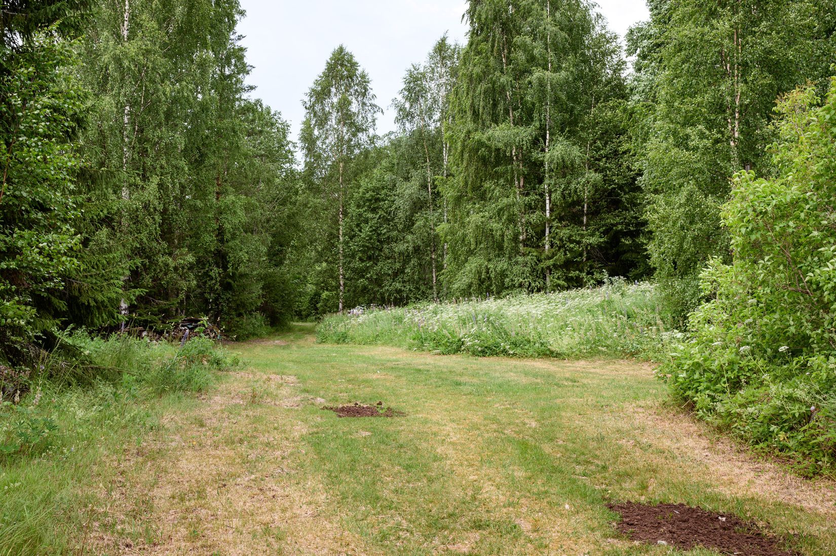 Fritidshus, Ryggen 472, Ryggen, Falun