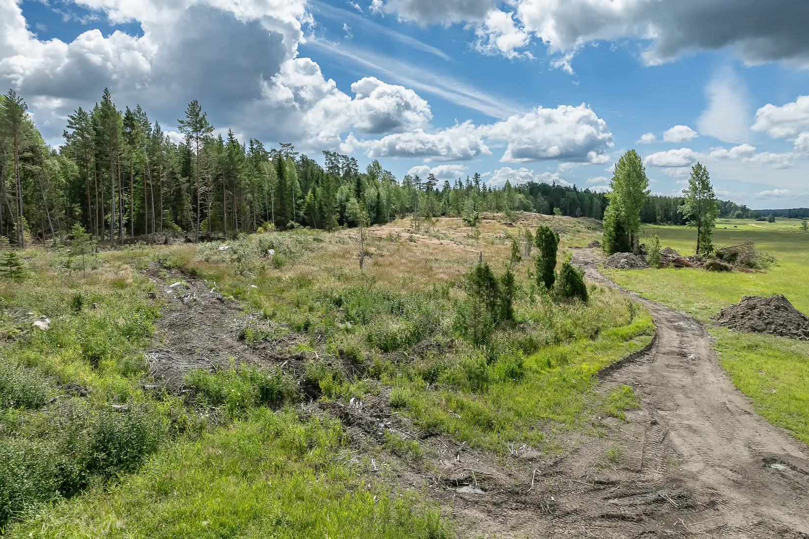 Tomt, Fiby 49 - 55, Uppsala