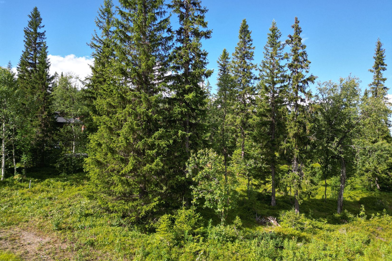 Tomt, Snasahögarna Ingolvberget 11, Snasahögarnas Fritidsby, Åre