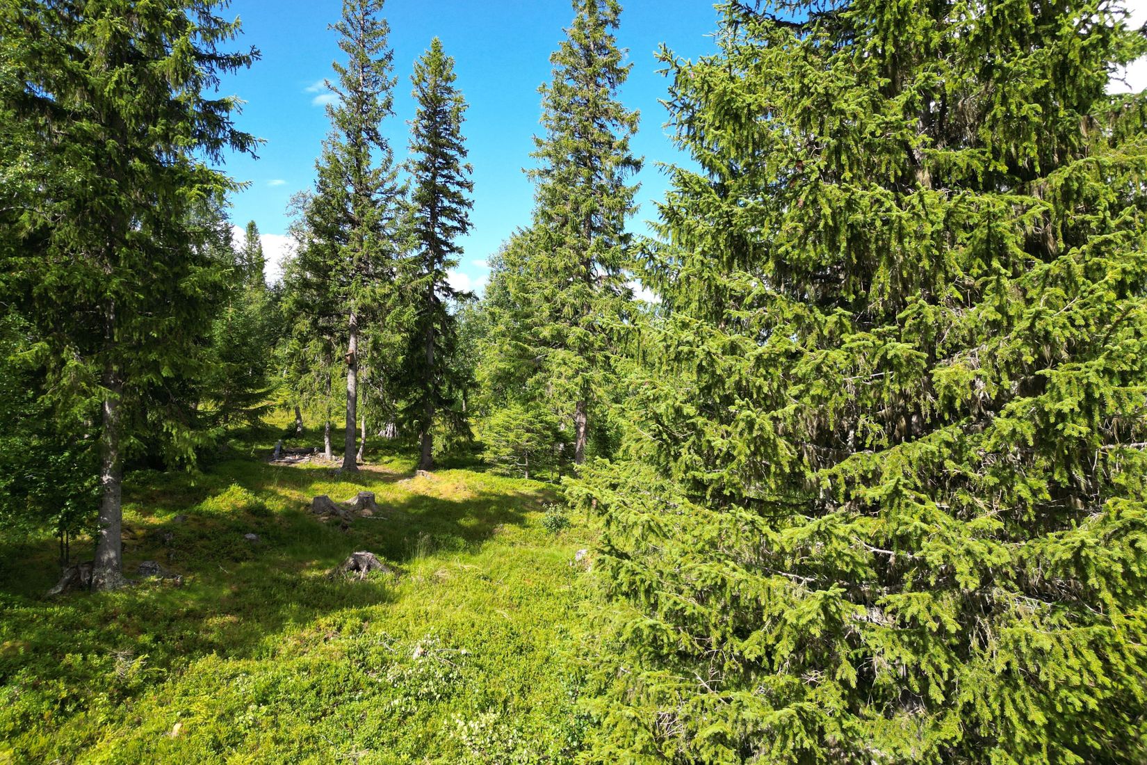 Tomt, Snasahögarna Ingolvberget 11, Snasahögarnas Fritidsby, Åre