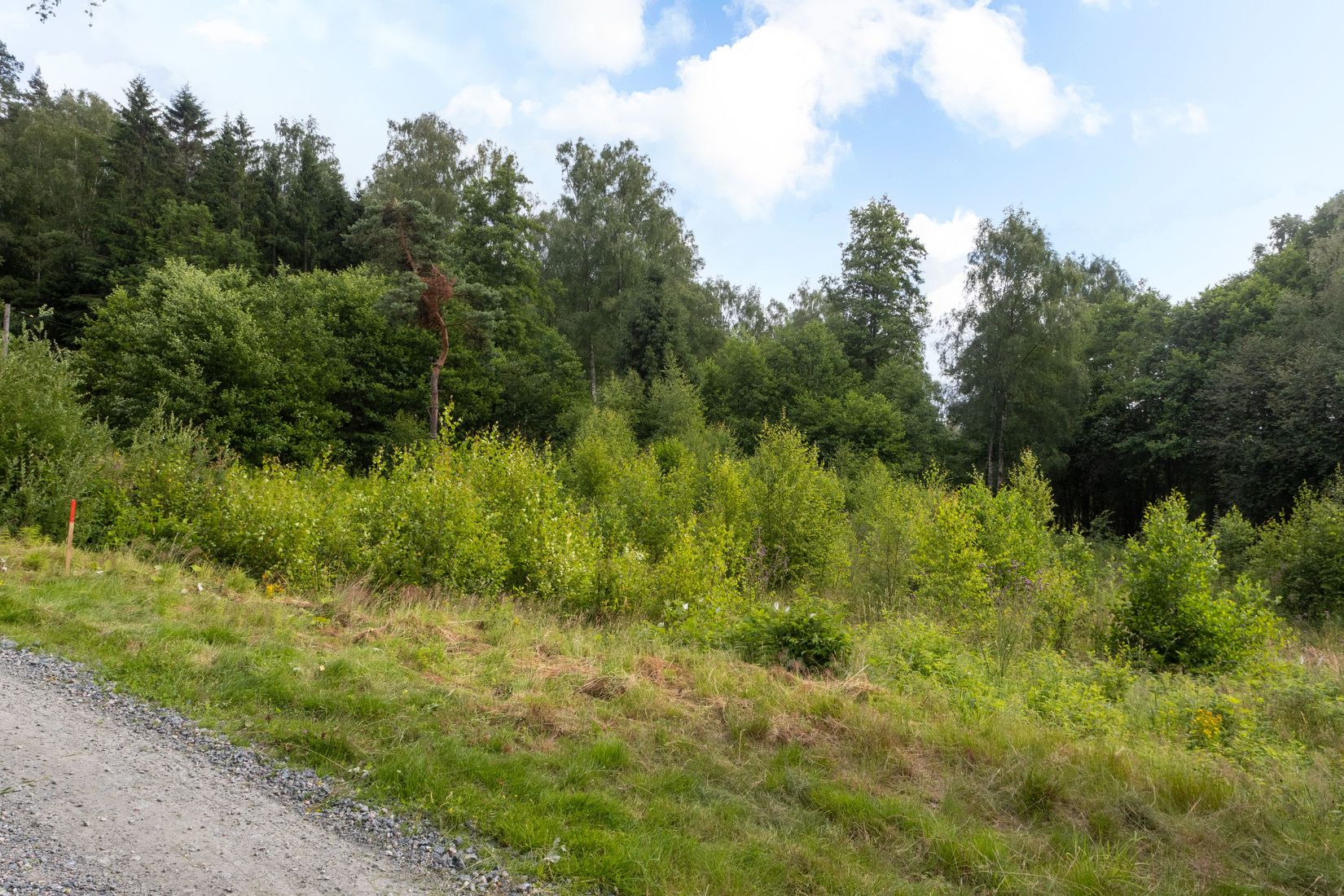 Tomt, Nol 3:231, Nol, Ale