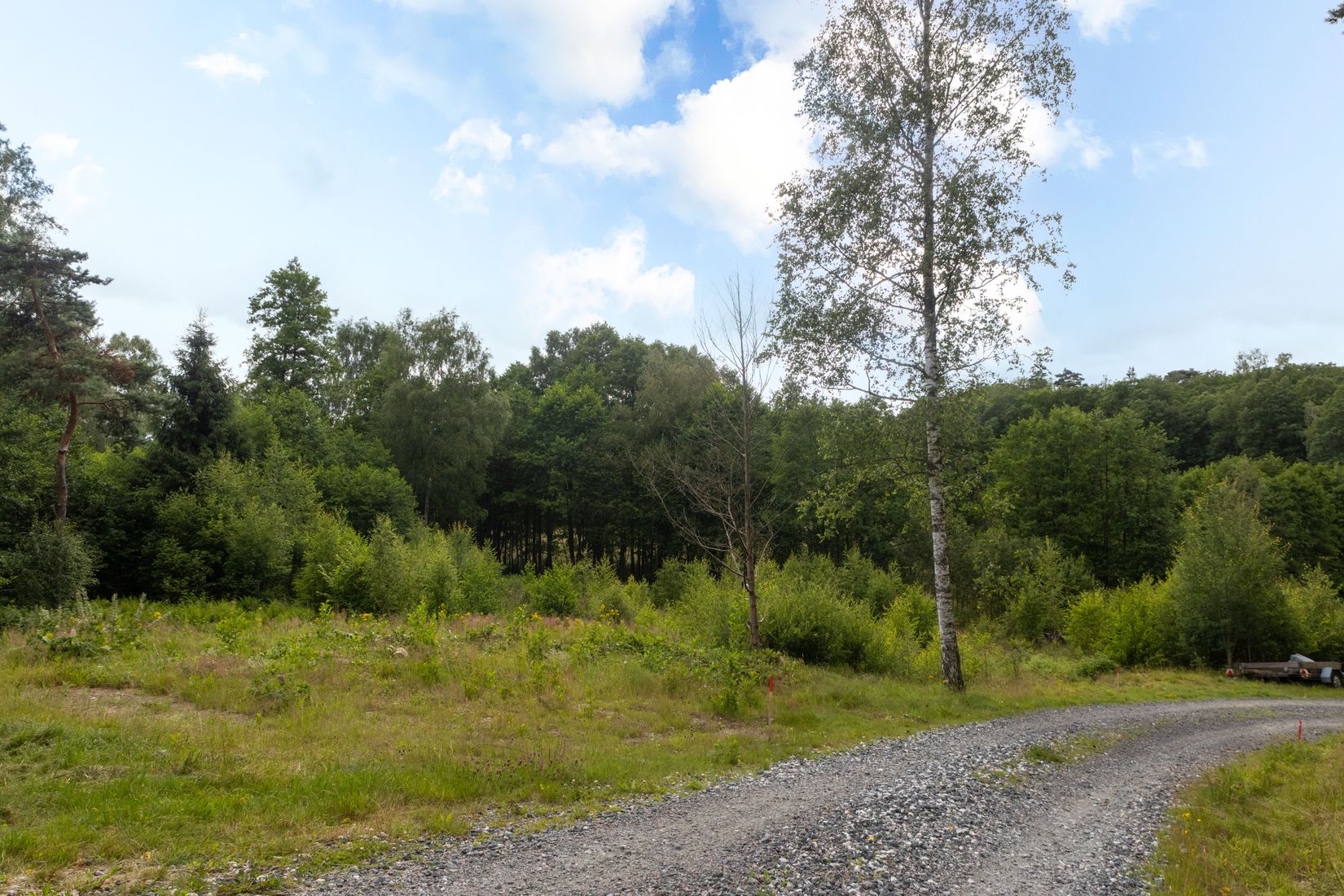 Tomt, Nol 3:231, Nol, Ale