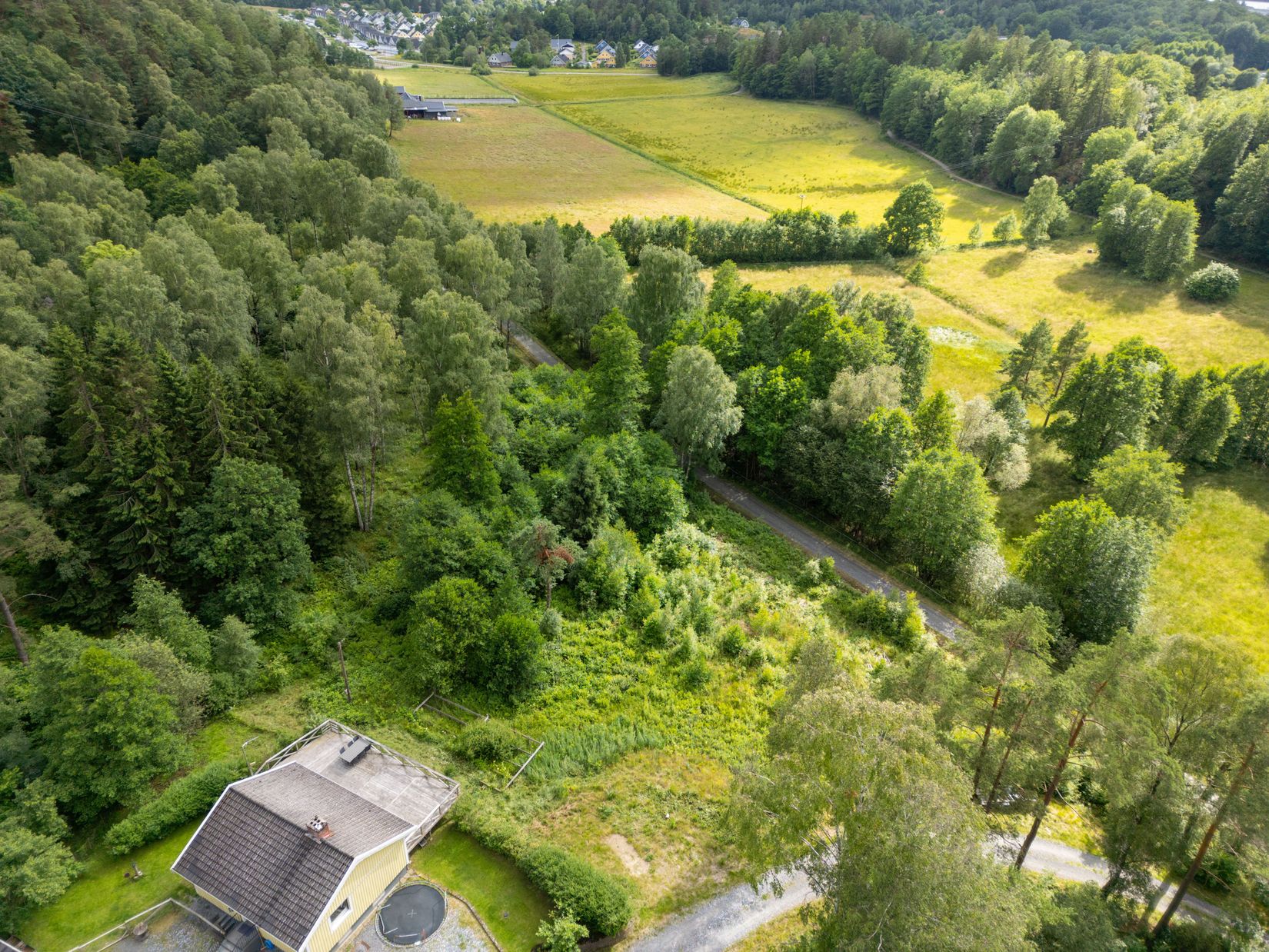 Tomt, Nol 3:231, Nol, Ale