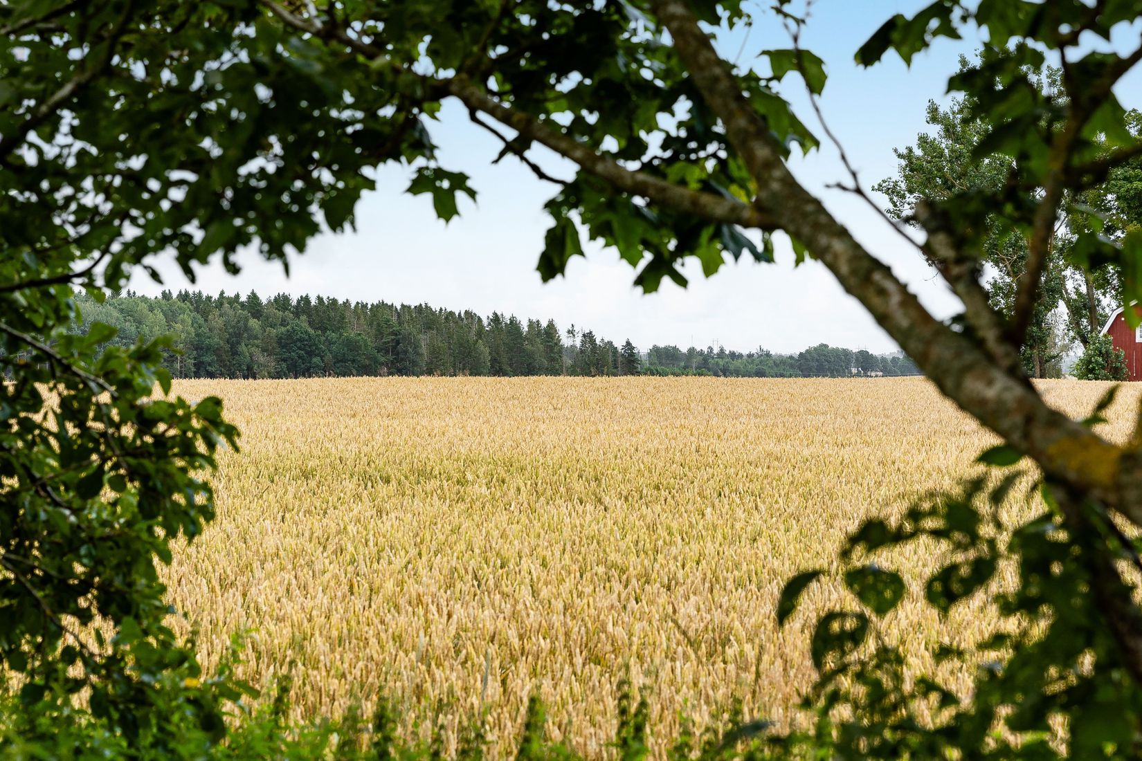 Villa, Appuna Östergård 2, Mjölby