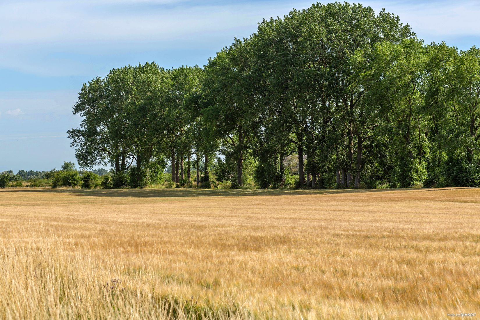 Villa, Styrmansgatan 30, Brantevik, Simrishamn