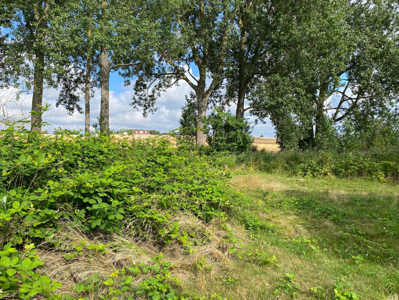 Villa, Styrmansgatan 30, Brantevik, Simrishamn