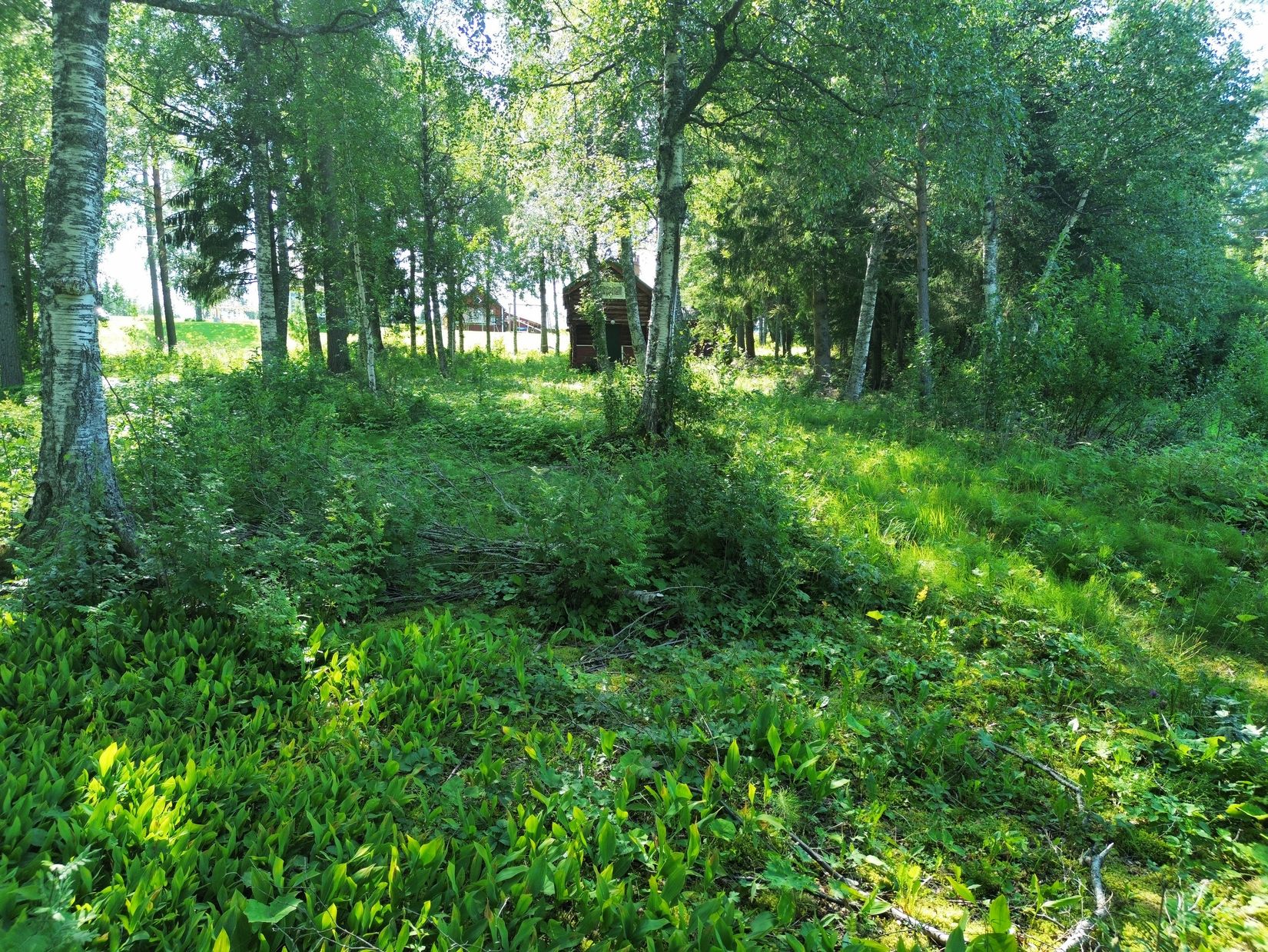 Tomt, Böle 200, Annersia, Östersund