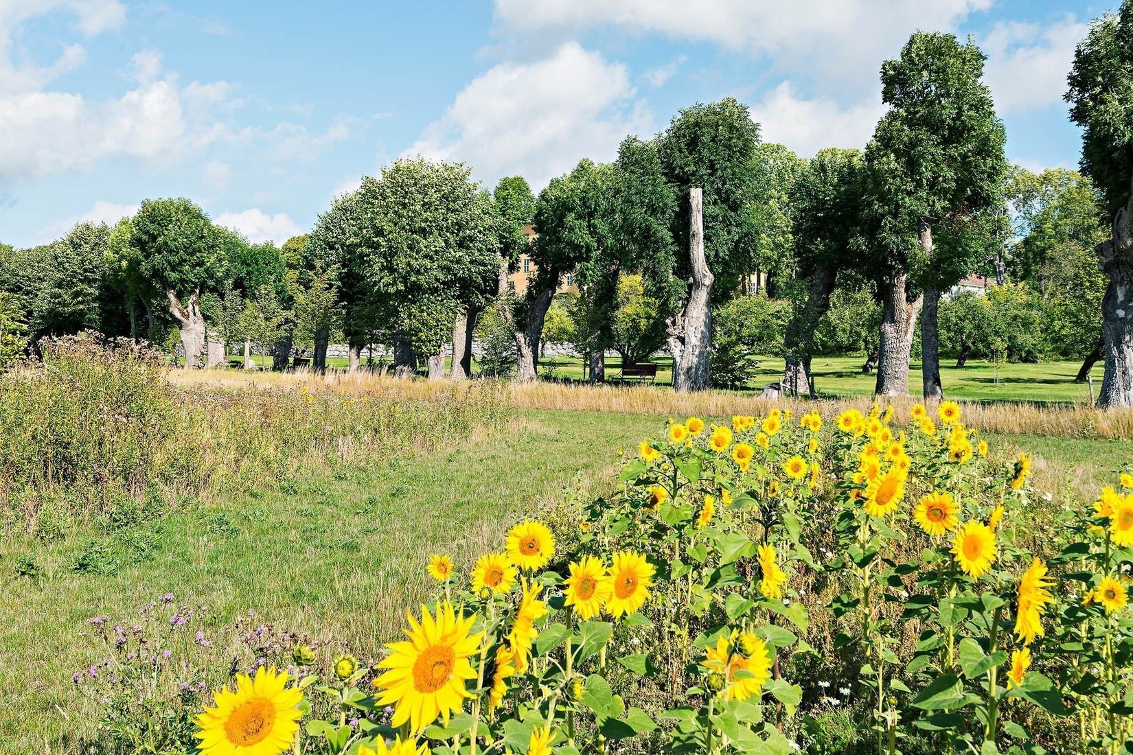 Bostadsrätt, Venngarn 264 H, Sigtuna - Venngarn, Sigtuna