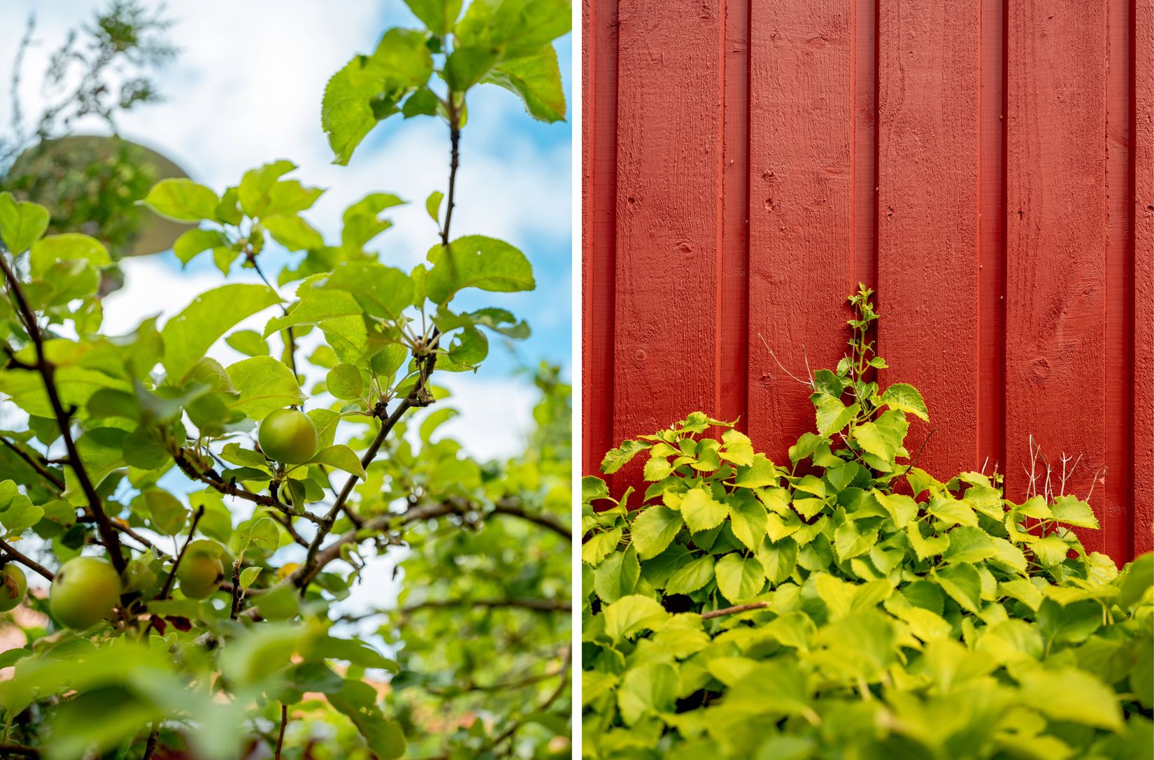Villa, Radhus, Öringevägen 105, Öringe, Tyresö