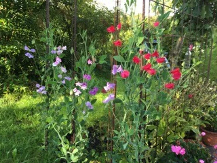 Villa, Öresjövägen 8, Malen, Båstad