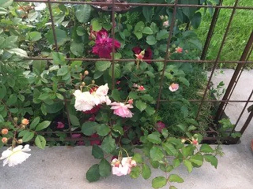 Villa, Öresjövägen 8, Malen, Båstad