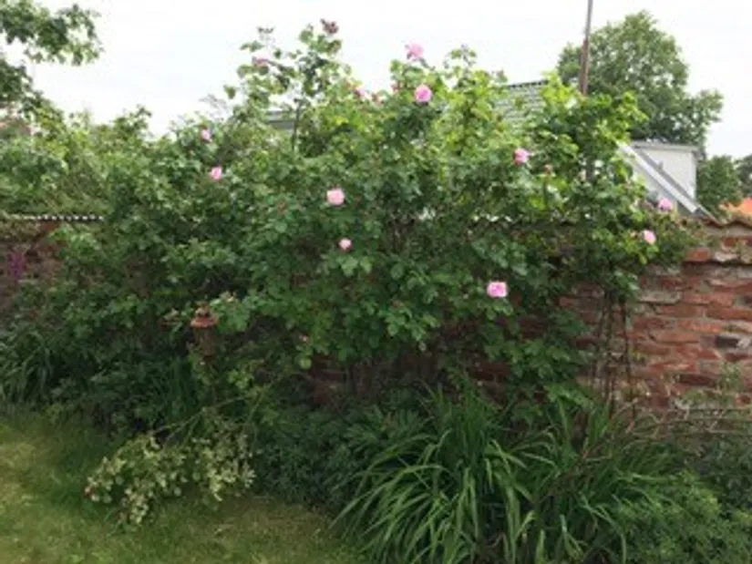 Villa, Öresjövägen 8, Malen, Båstad