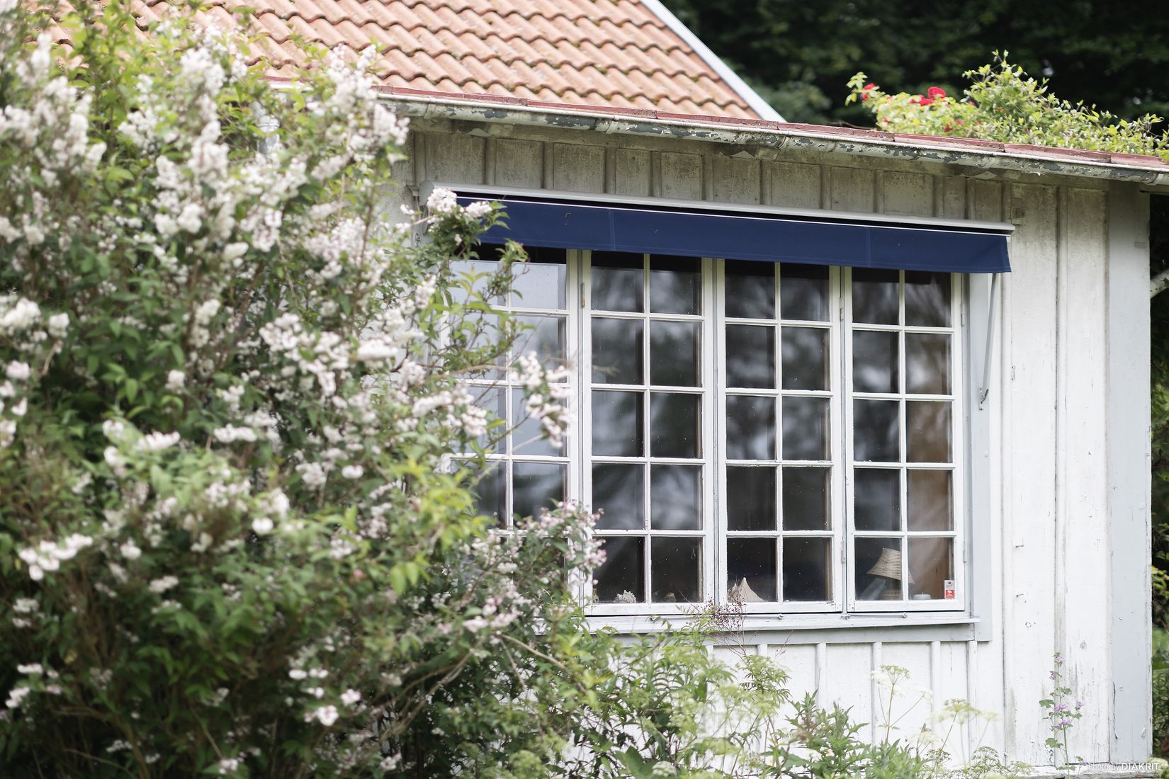 Gård/Skog, Millingstorp Flygeln 1, Ödeshög