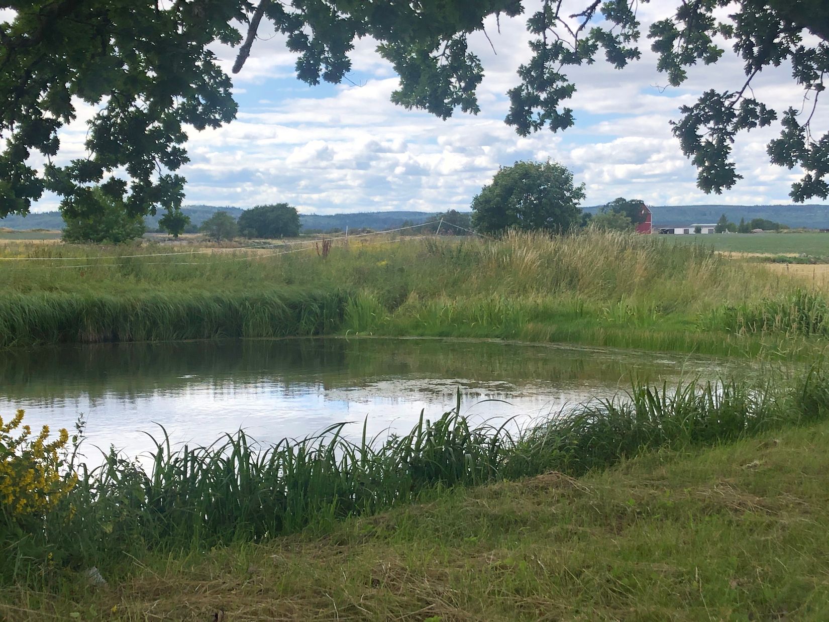 Gård/Skog, Millingstorp Flygeln 1, Ödeshög