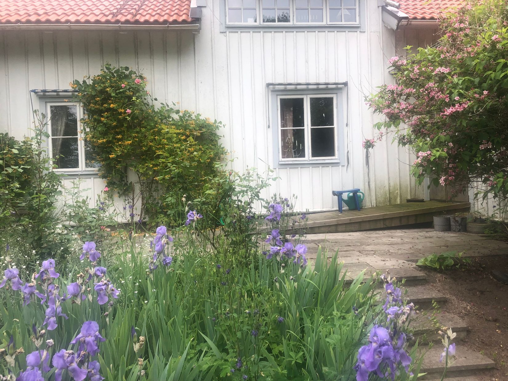 Gård/Skog, Millingstorp Flygeln 1, Ödeshög