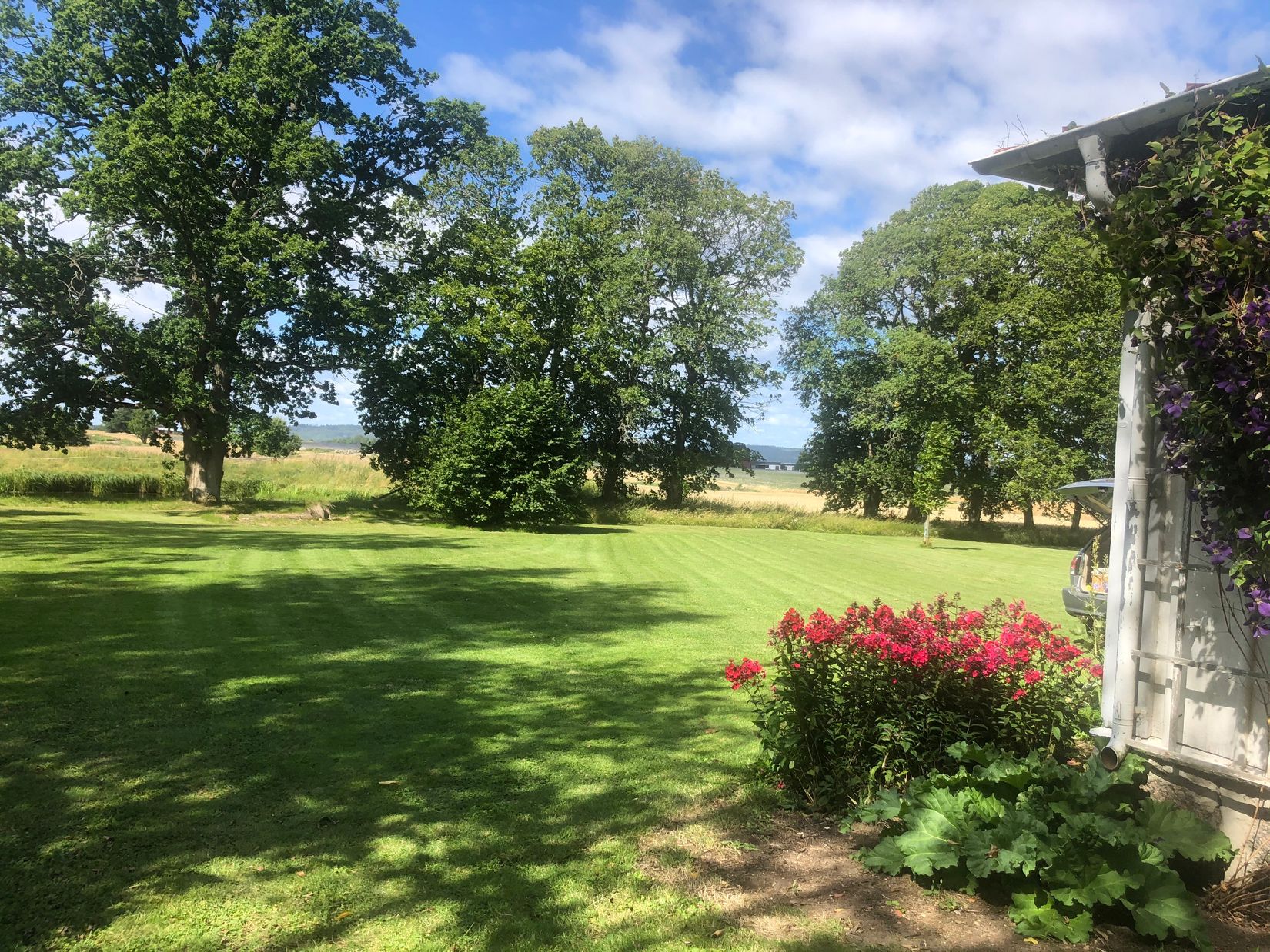 Gård/Skog, Millingstorp Flygeln 1, Ödeshög