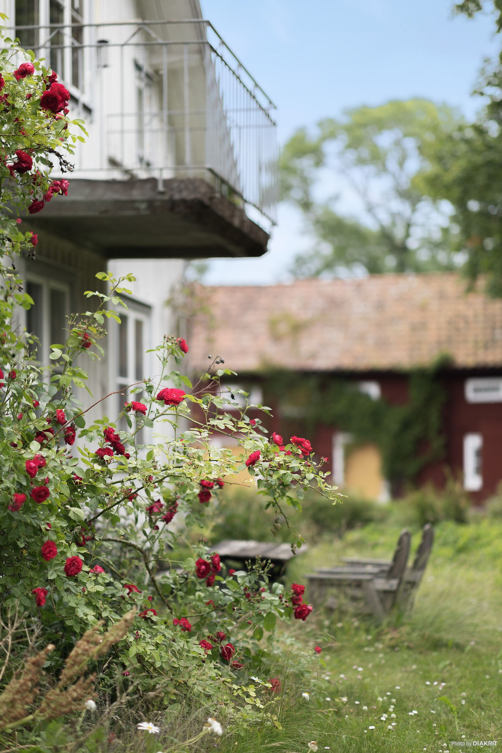 Gård/Skog, Millingstorp Flygeln 1, Ödeshög