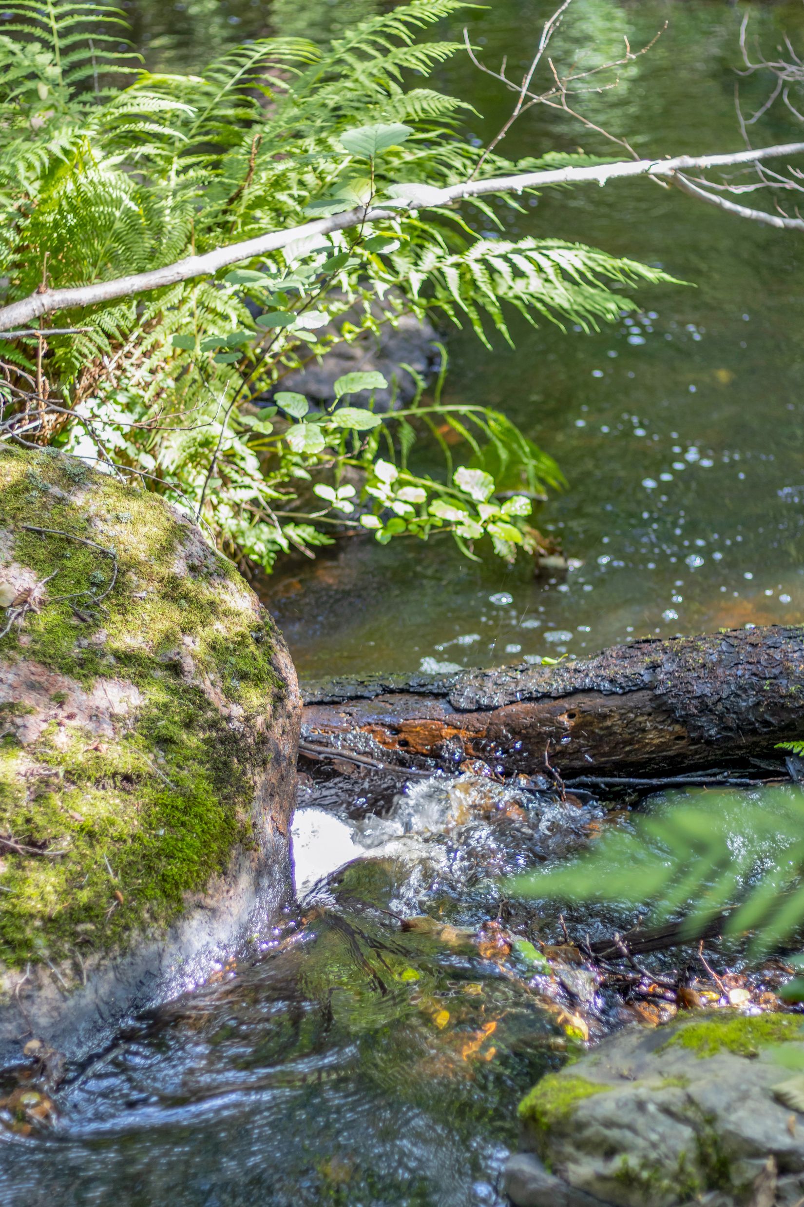 Villa, Egnahemsvägen 9, Kvillsfors, Vetlanda