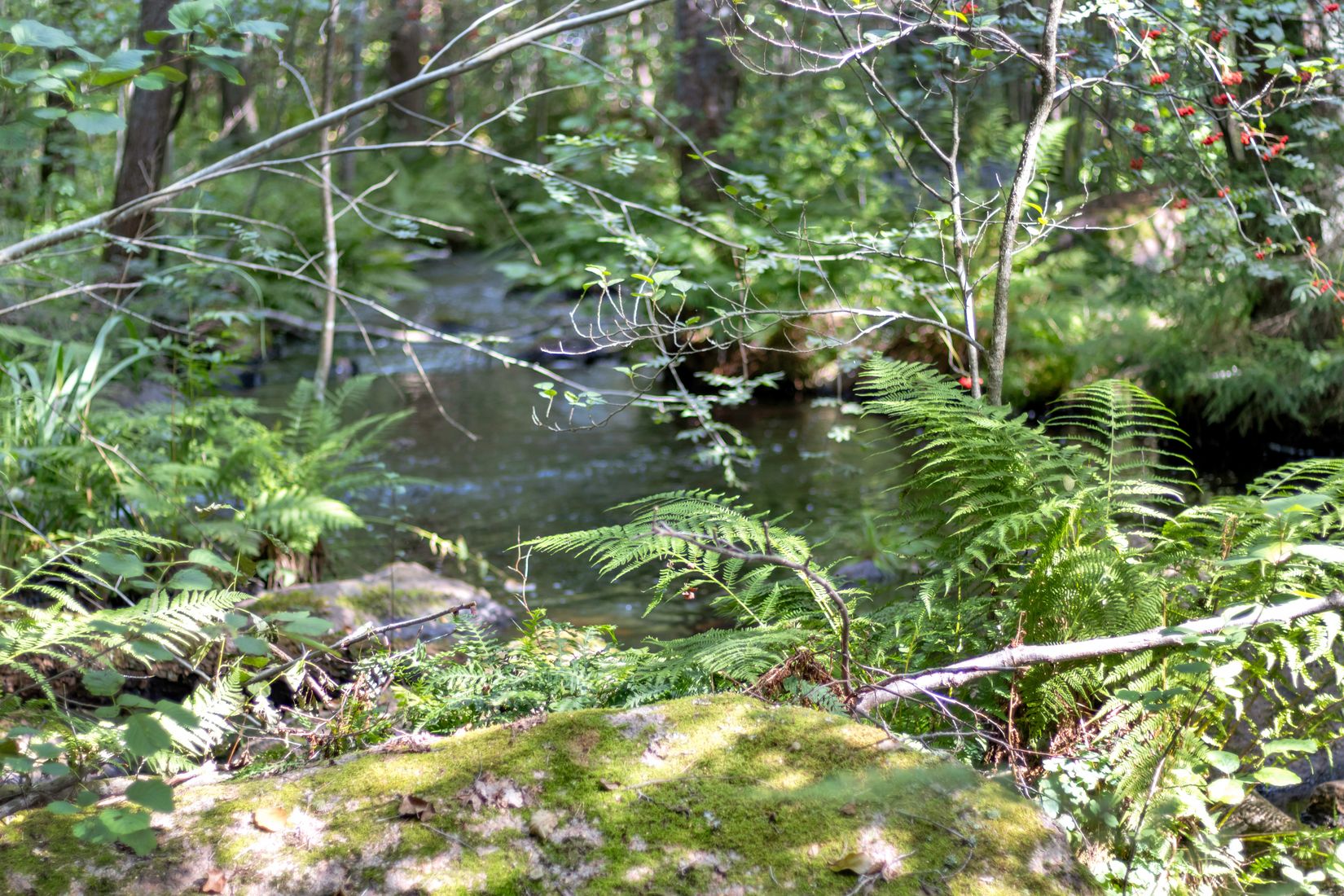 Villa, Egnahemsvägen 9, Kvillsfors, Vetlanda