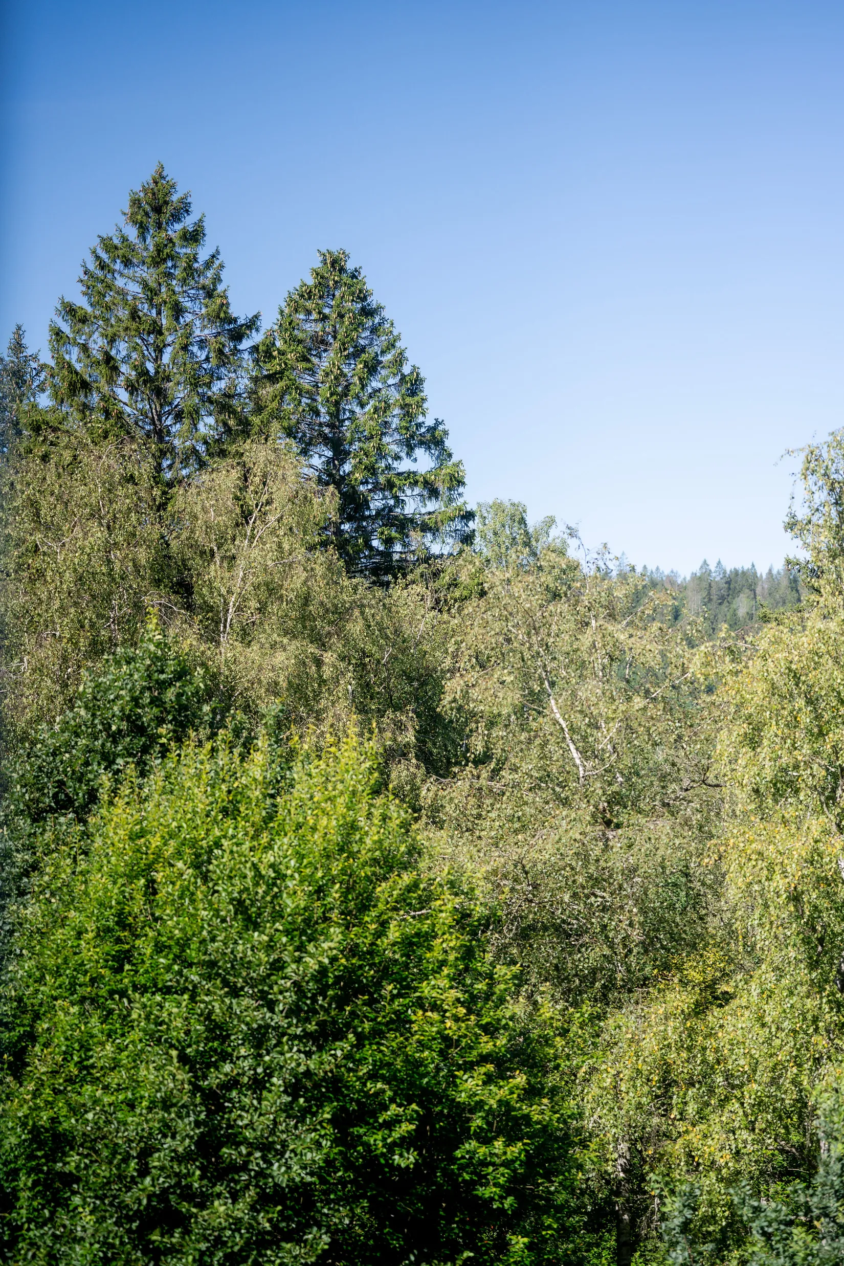 Bostadsrätt, Lindormsgatan 39, Sjöbo, Borås