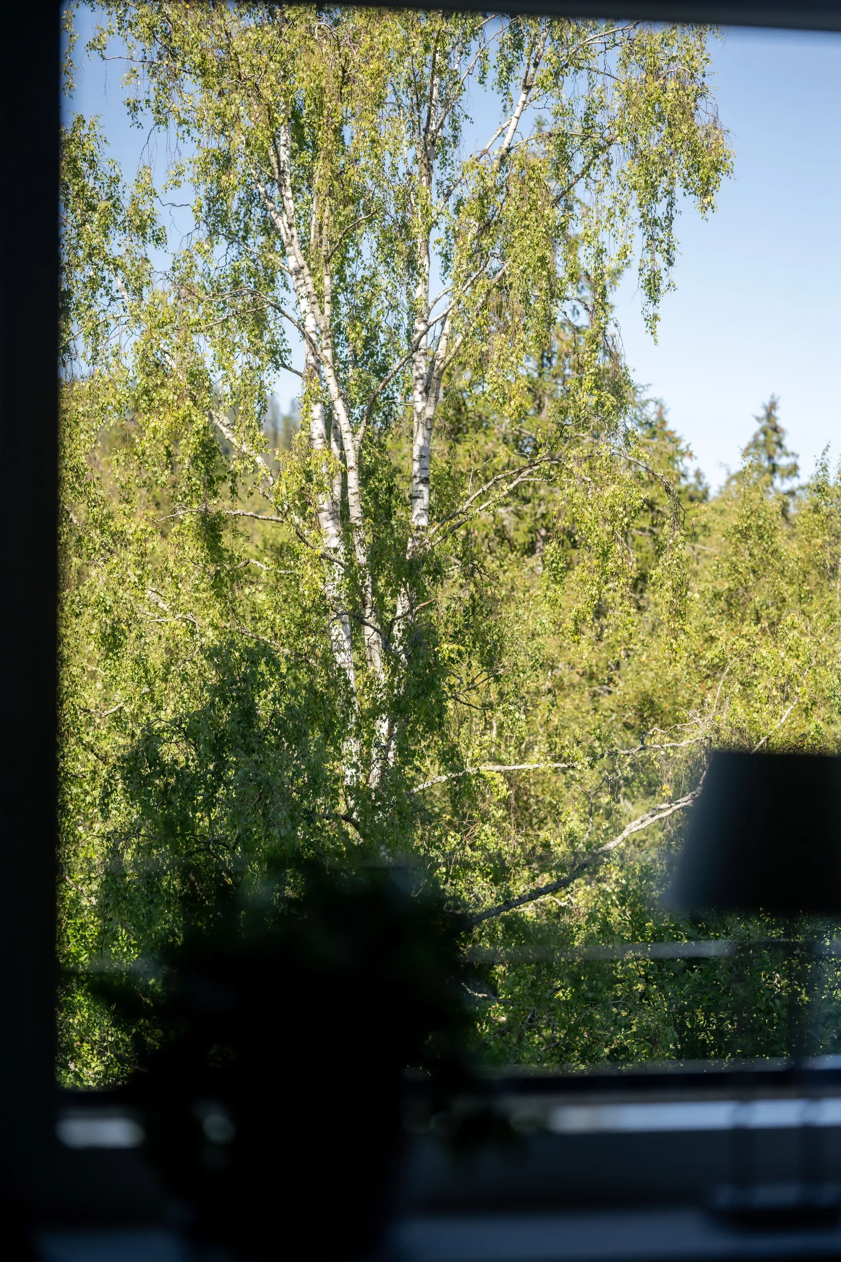 Bostadsrätt, Lindormsgatan 39, Sjöbo, Borås