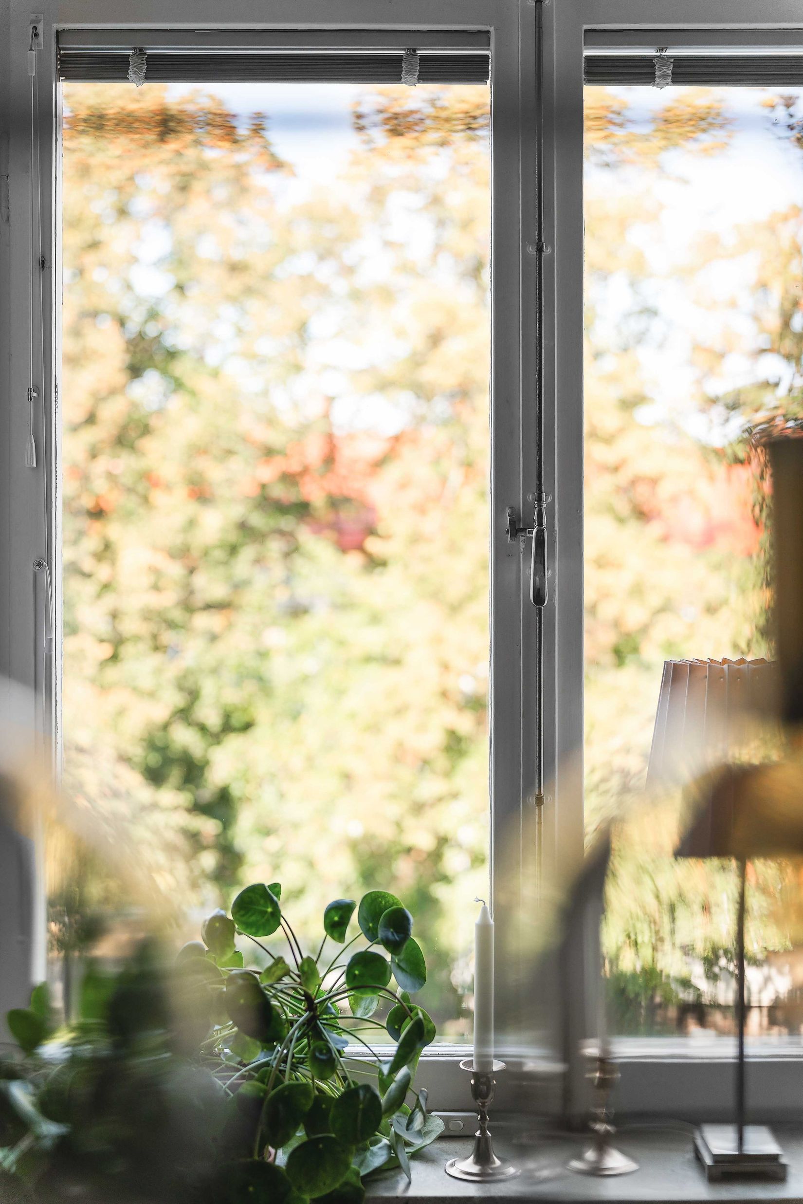 Bostadsrätt, Vaksalagatan 42 B, Höganäs/Fålhagen, Uppsala